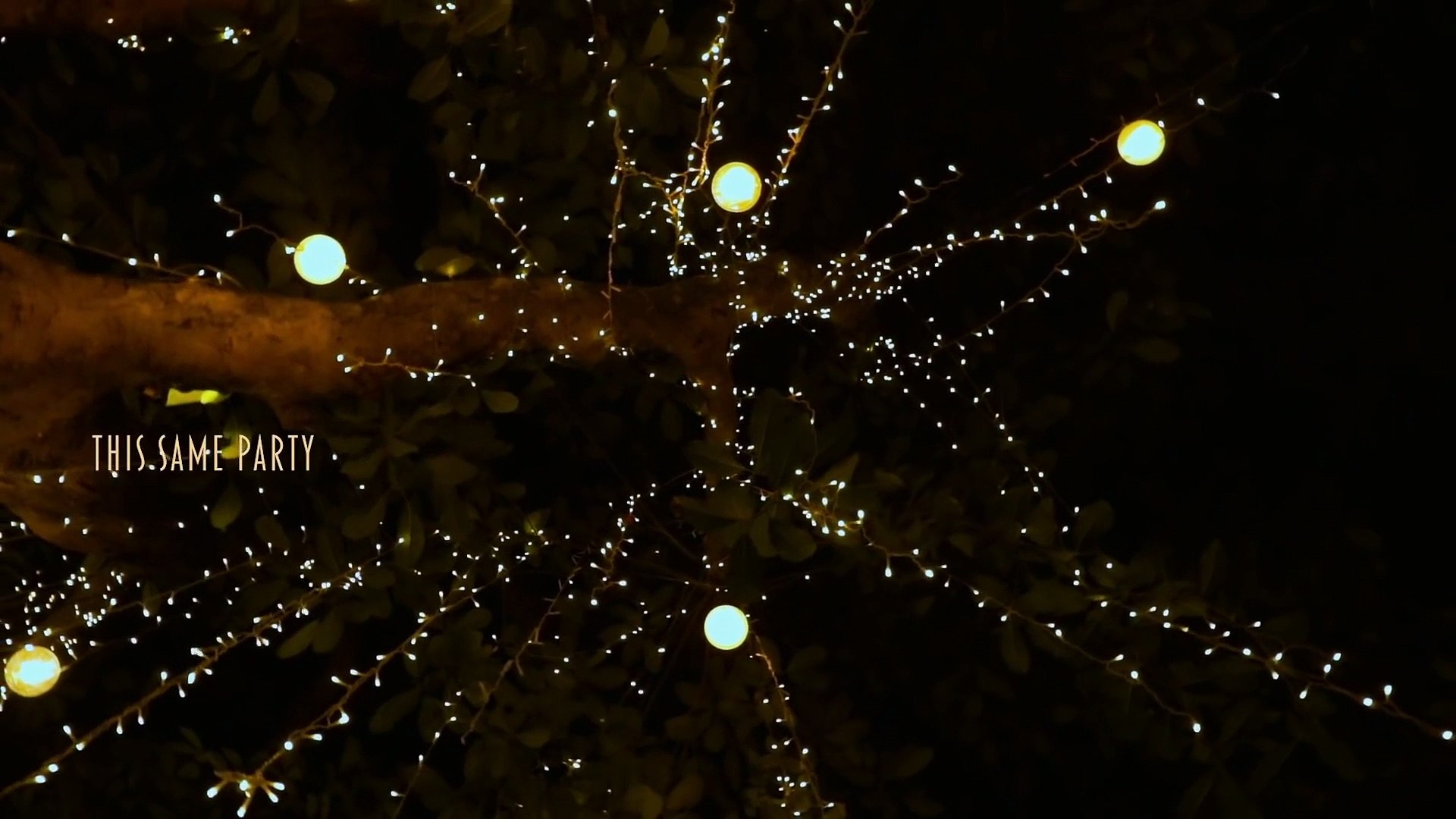 Taylor Swift Very First Night (Lyric Video)