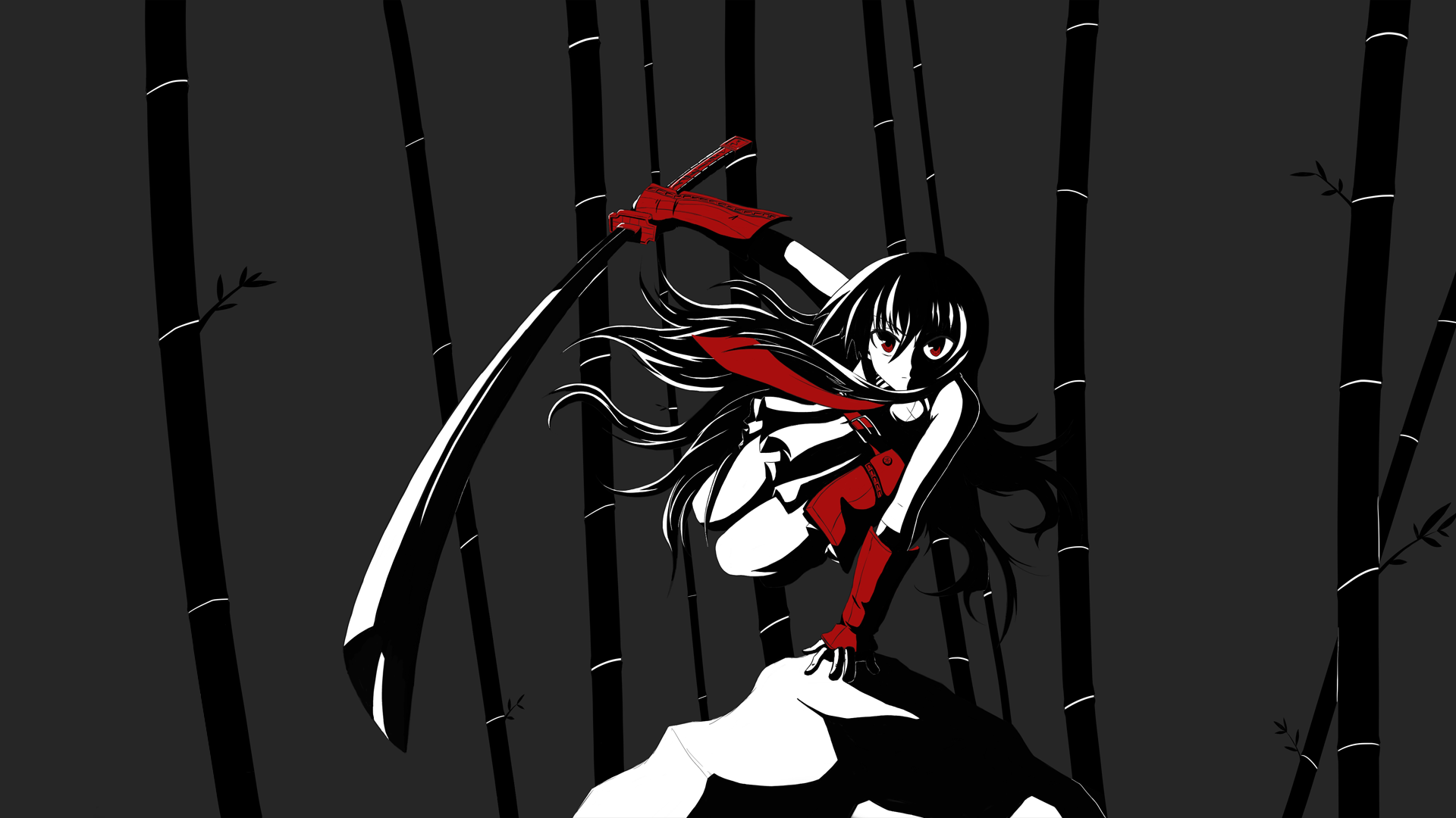 Akame Ga Kill! Computer Wallpaper, Desktop Backgroundx1080. Akame ga, Akame ga kill, Anime wallpaper