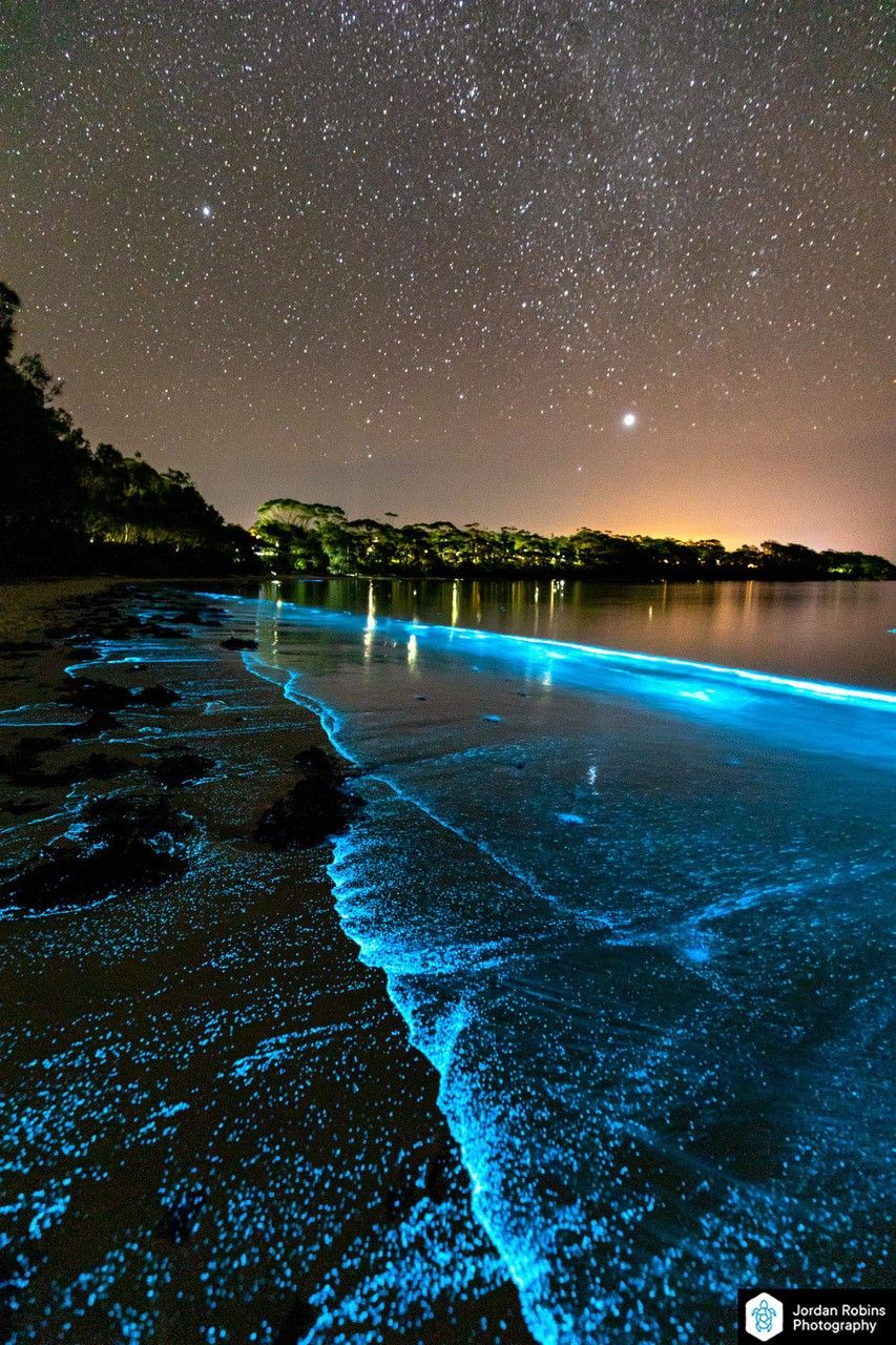 Bioluminescence lights up Jervis Bay