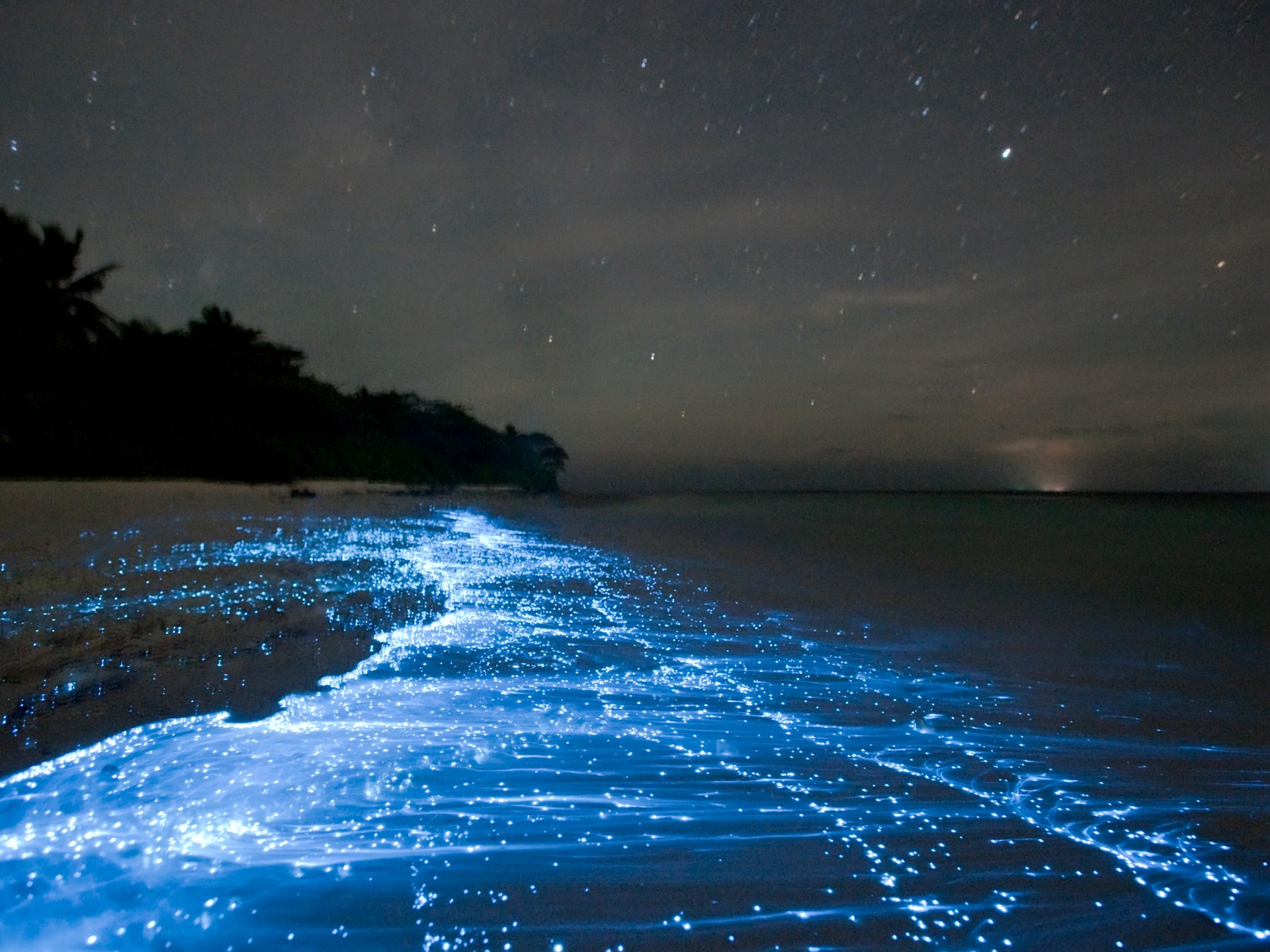 The UK beach with seas that glow bright