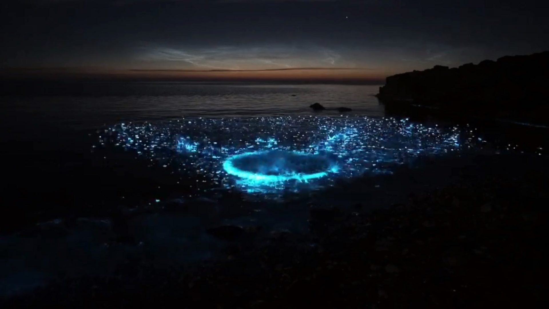 Wales' beaches lit up