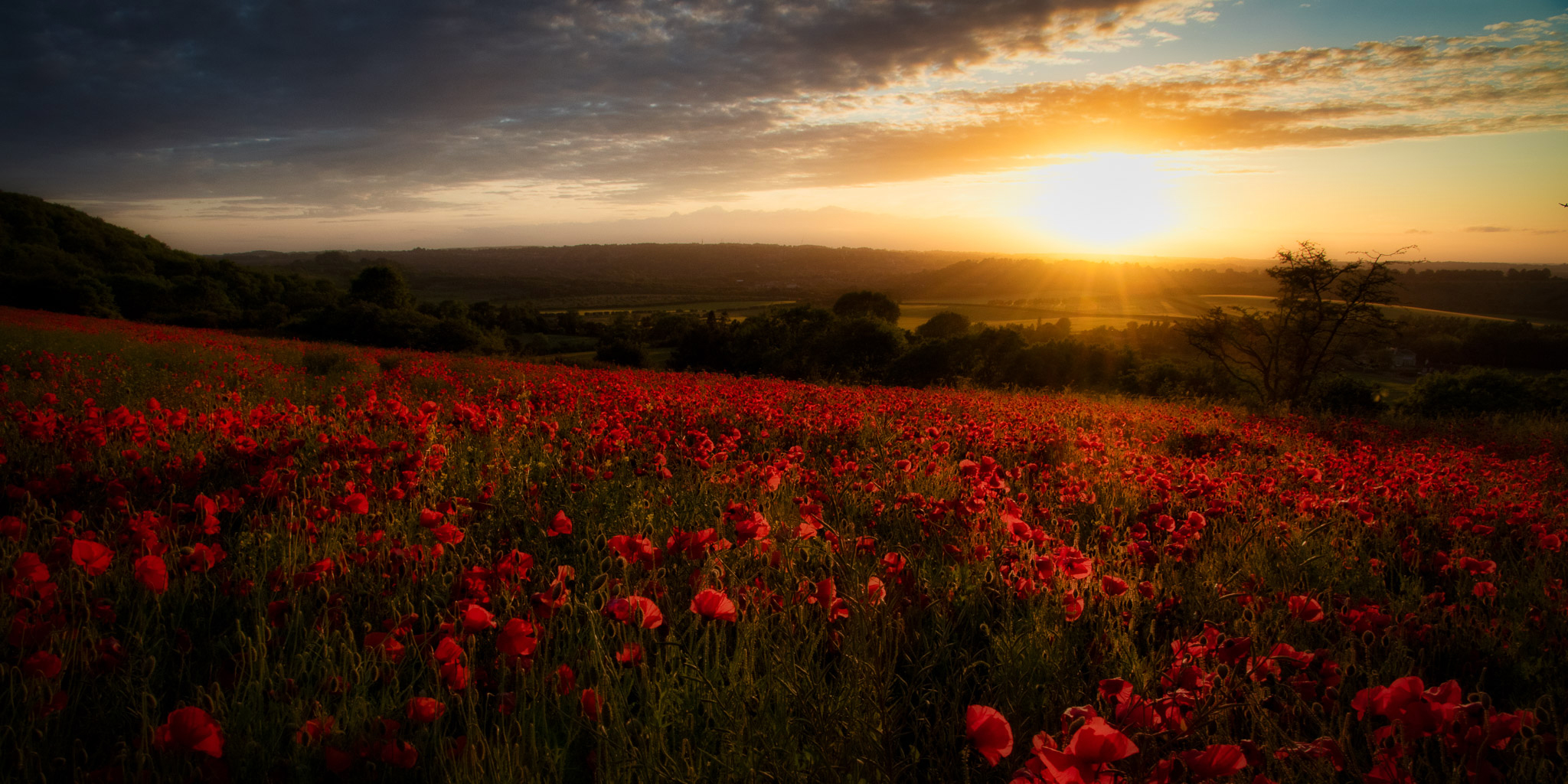Desktop Wallpaper Rays of light Nature