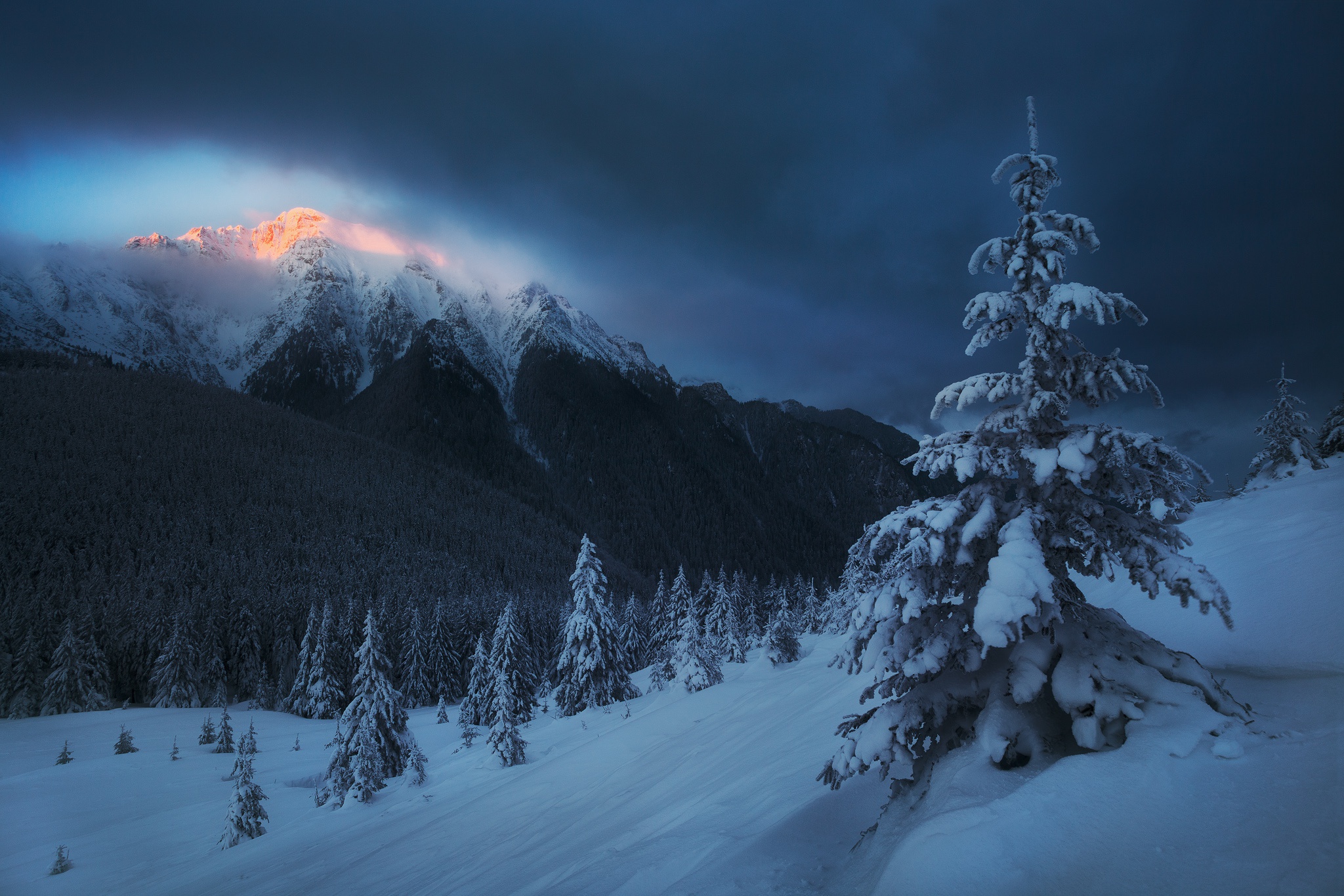 Snow wallpaper for desktop, download