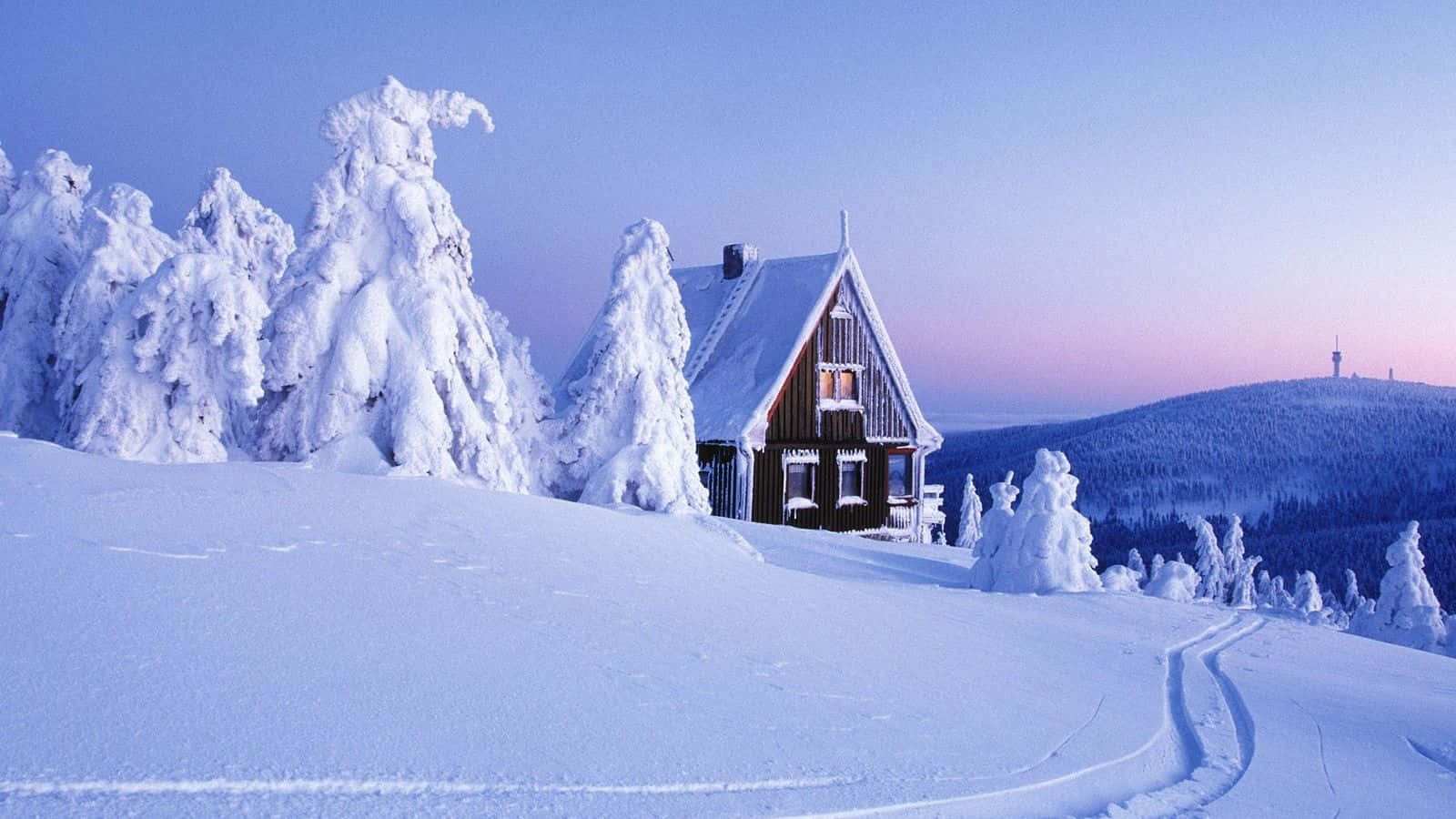 Snow On A Snowy Hill Wallpaper