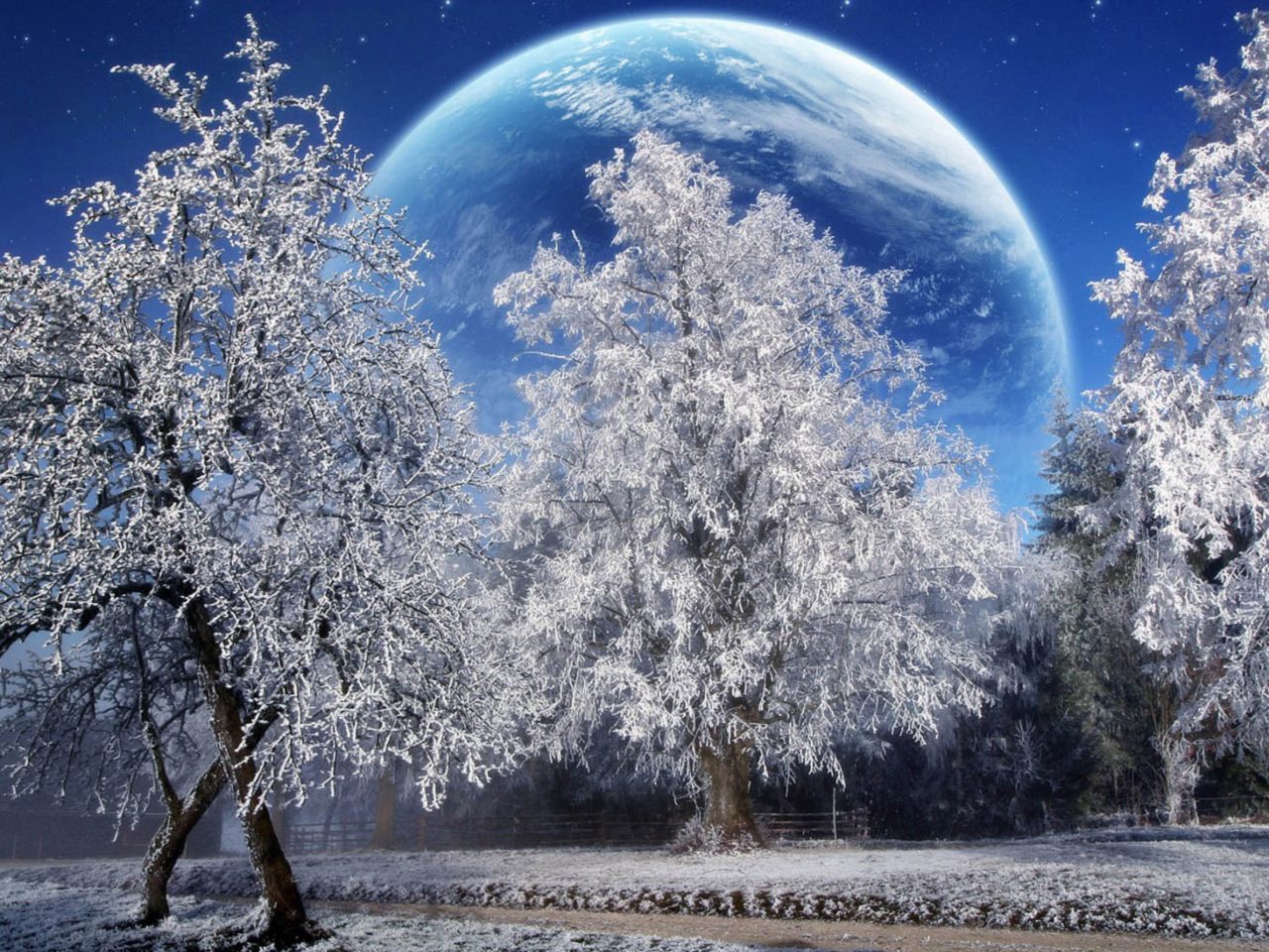 Winter Snow Full Moon High Resolution