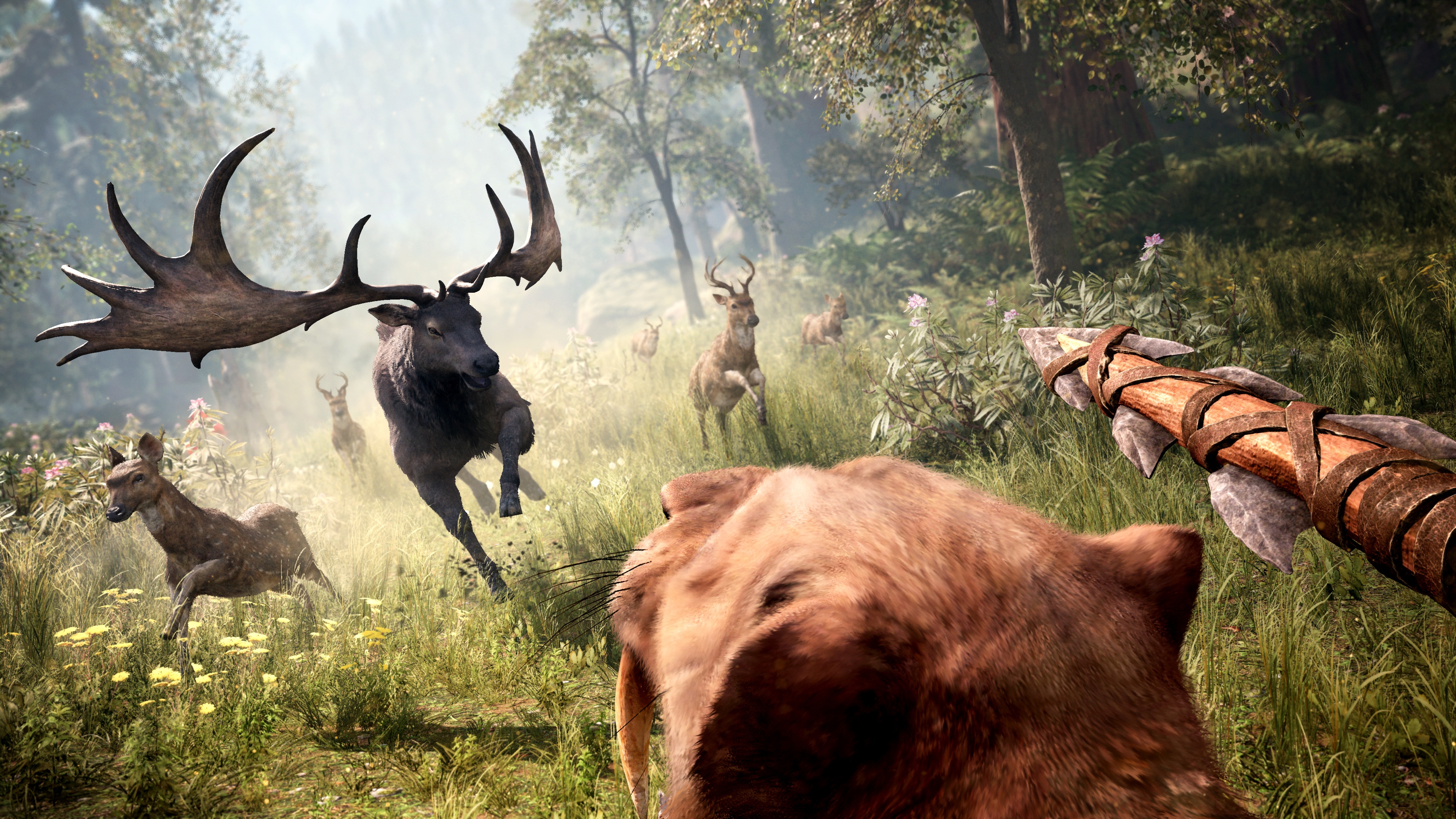 Far Cry Primal 4k Ultra HD Wallpaper
