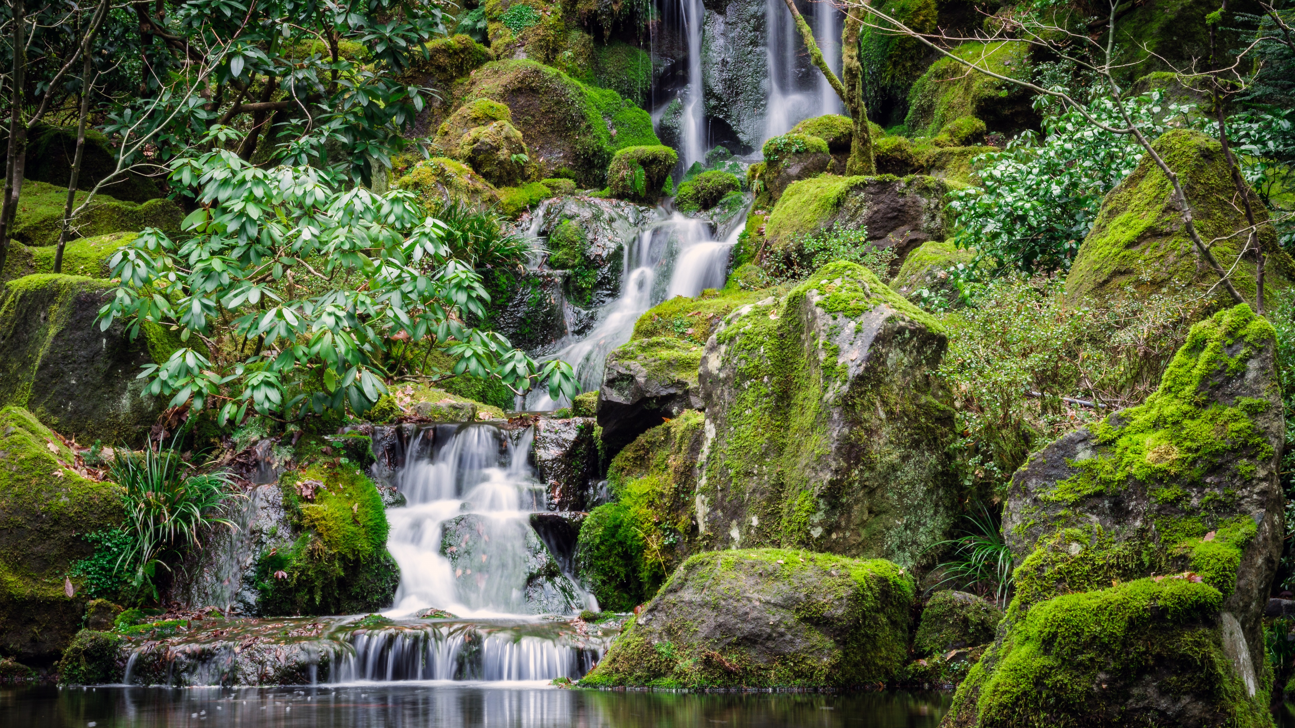 Portland Japanese Gardens Wallpaper 4K