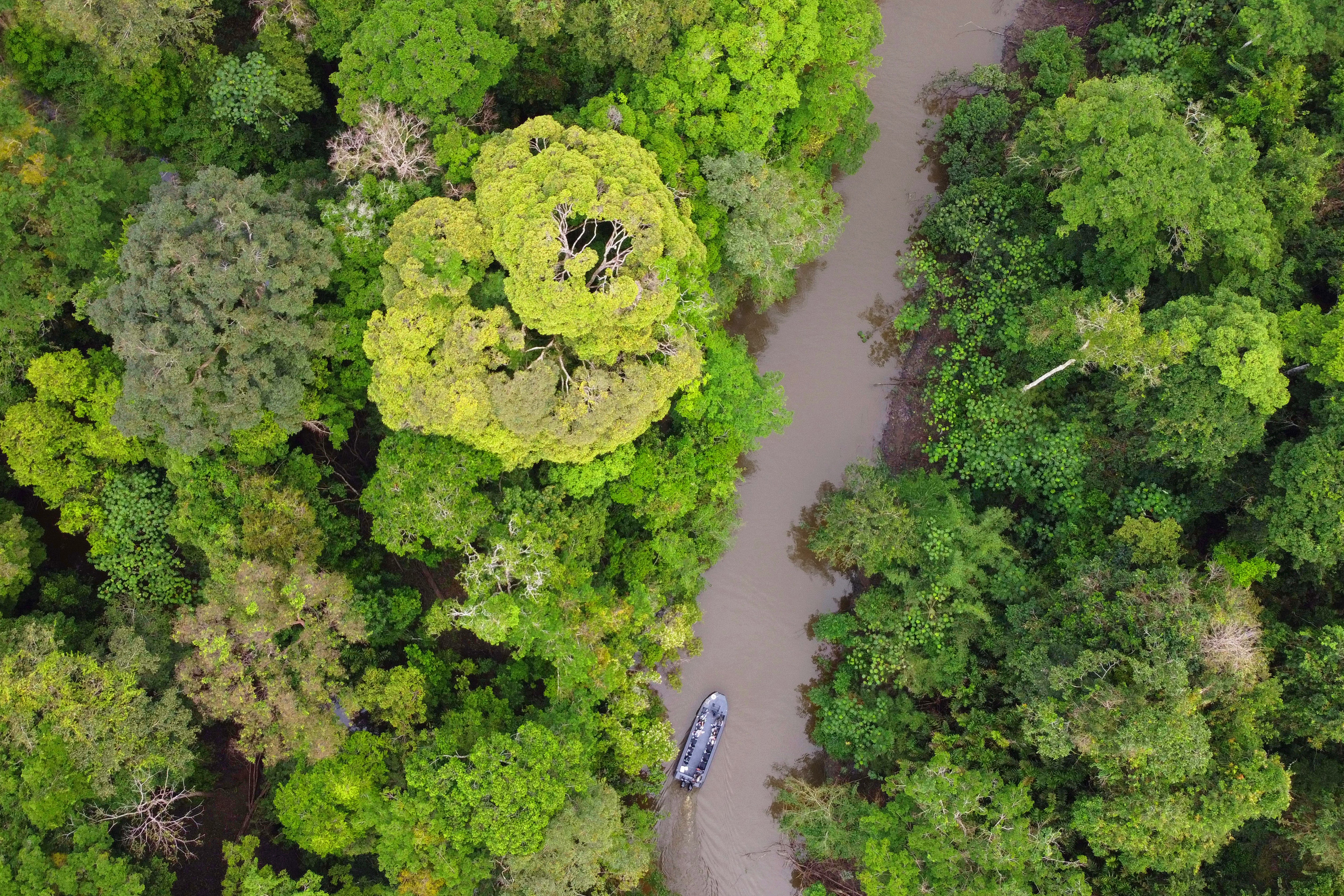 On an Amazon River Cruise, Slowing Down