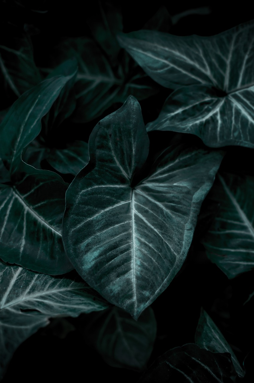 Wallpaper Leaves Green
