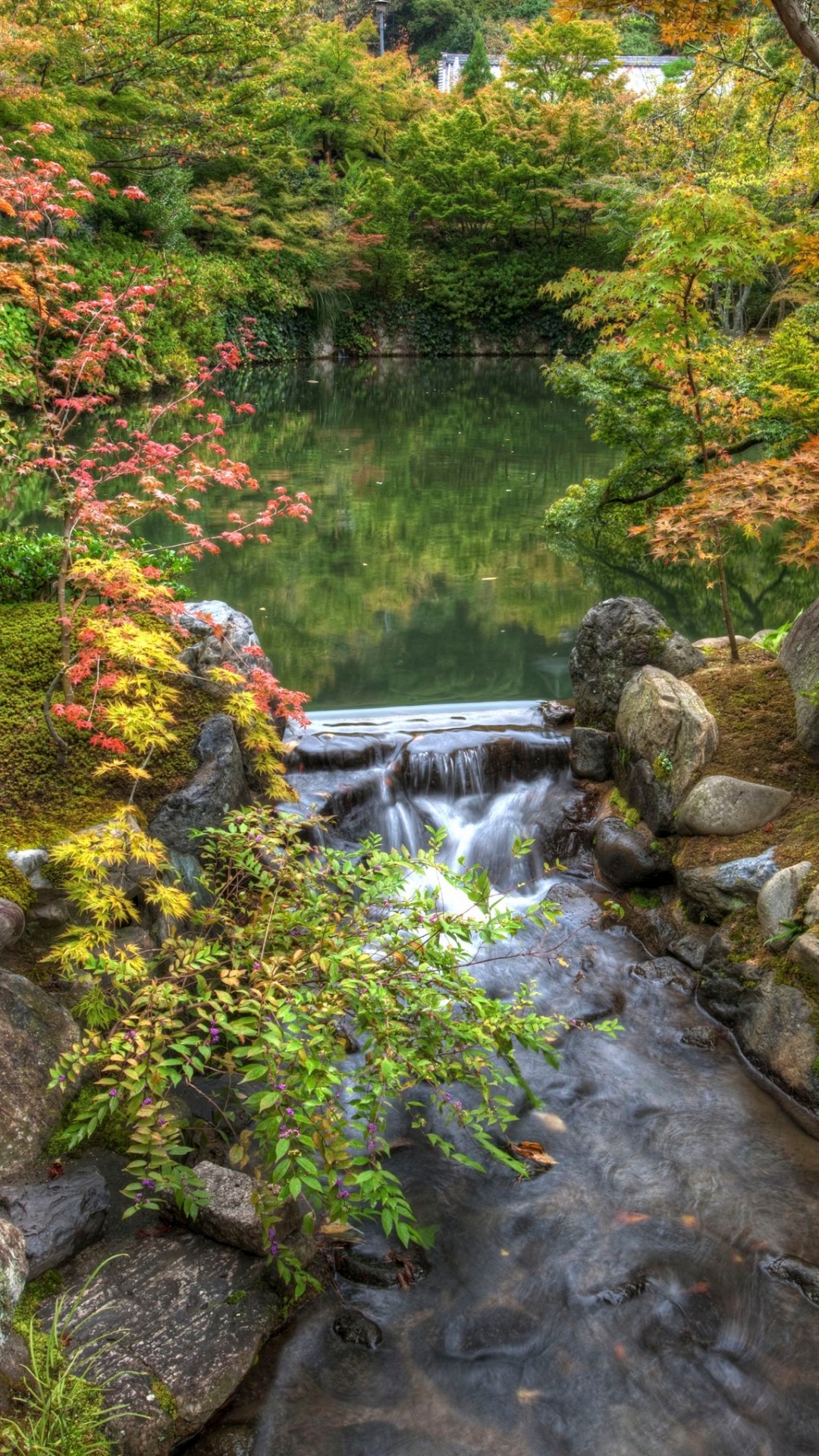 Japanese Garden Wallpaper Iphone Japanese Garden With Cherry Blossoms'