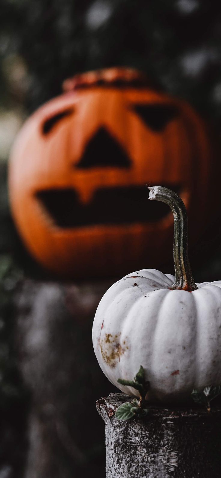 Spooky Halloween Wallpaper Background