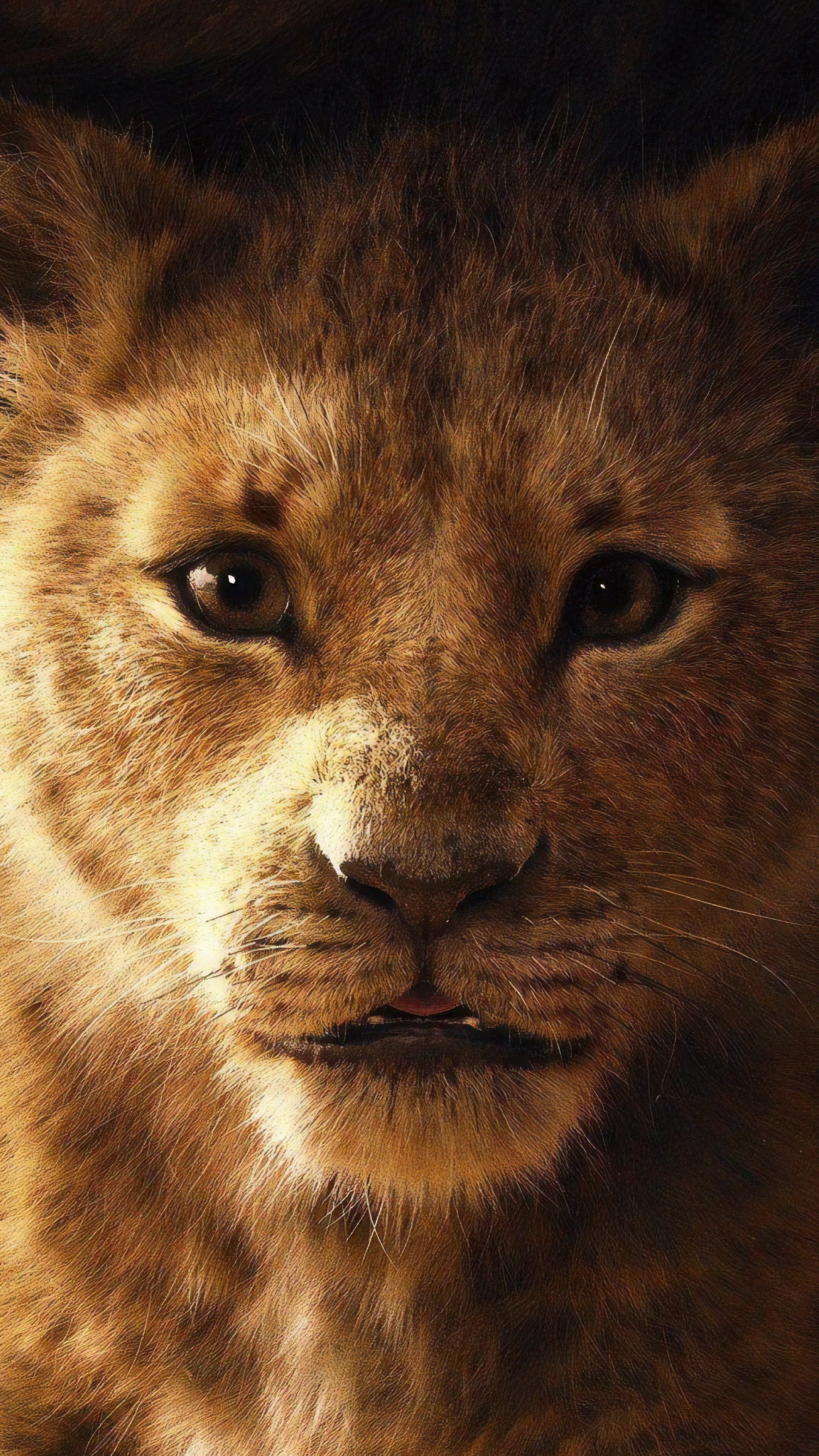 The Lion King 2019 Simba 8K Wallpaper