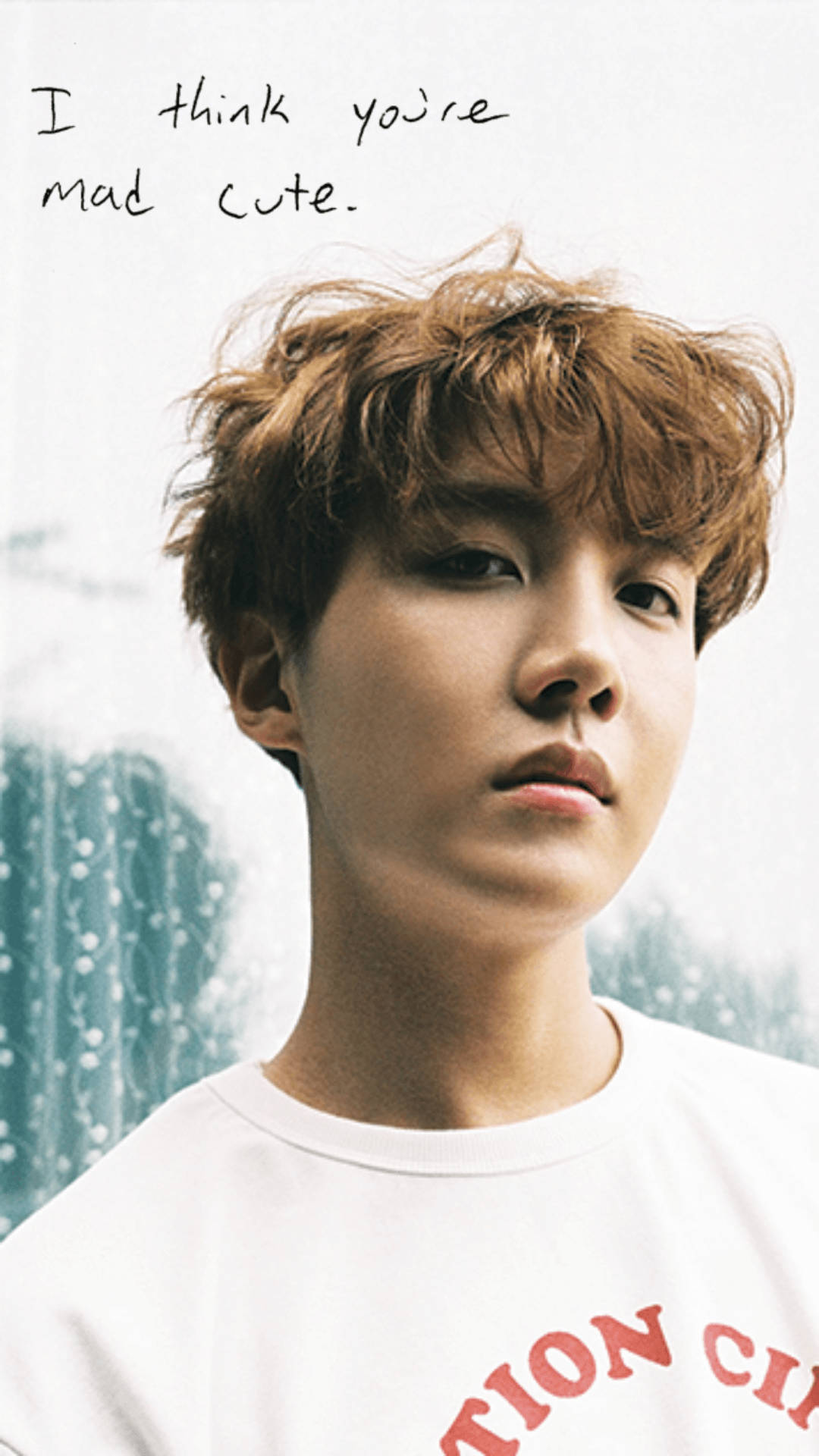 Download Cutie J Hope Phone Wallpaper