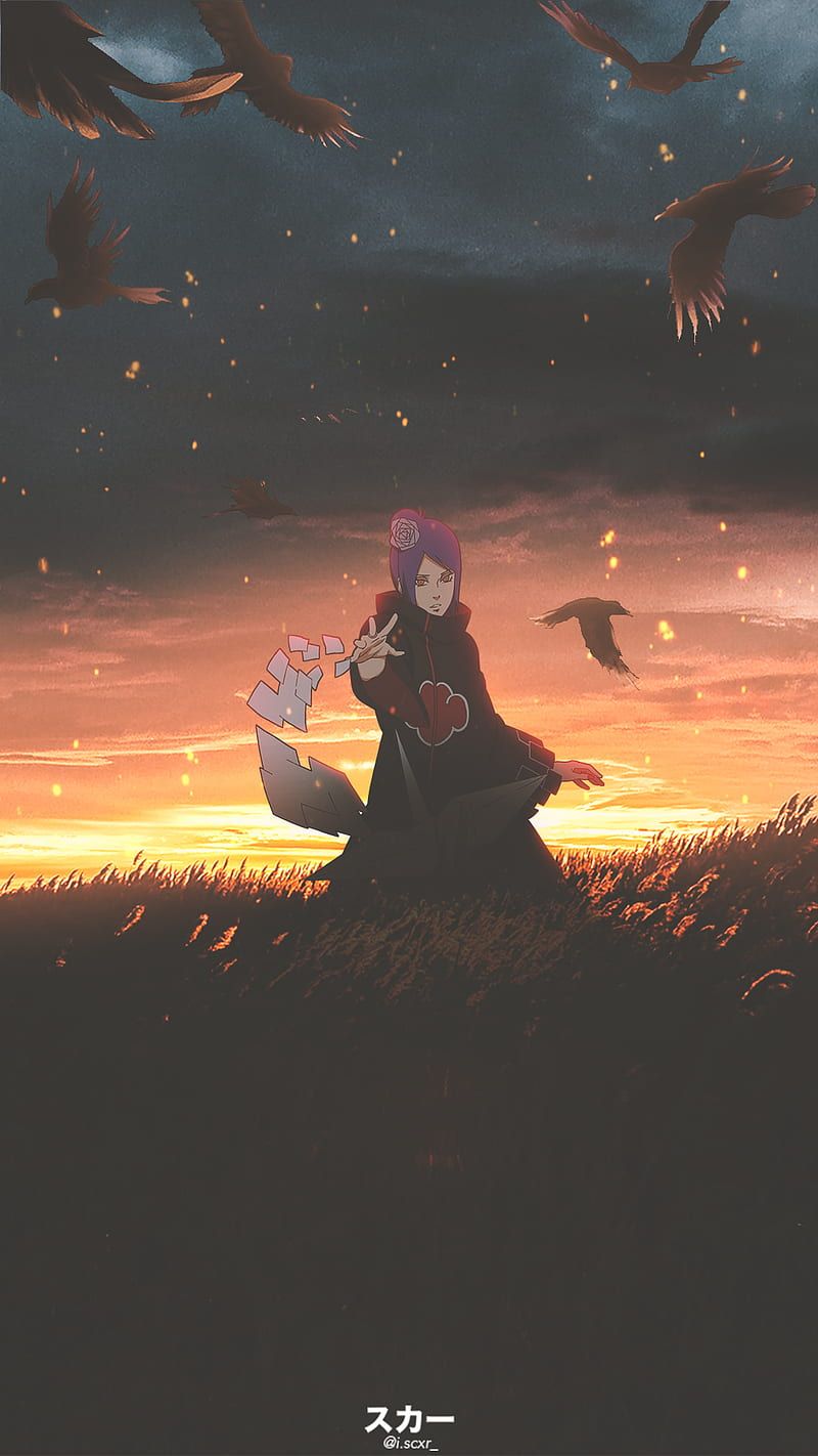 Konan, anime, anime, birds, meadow