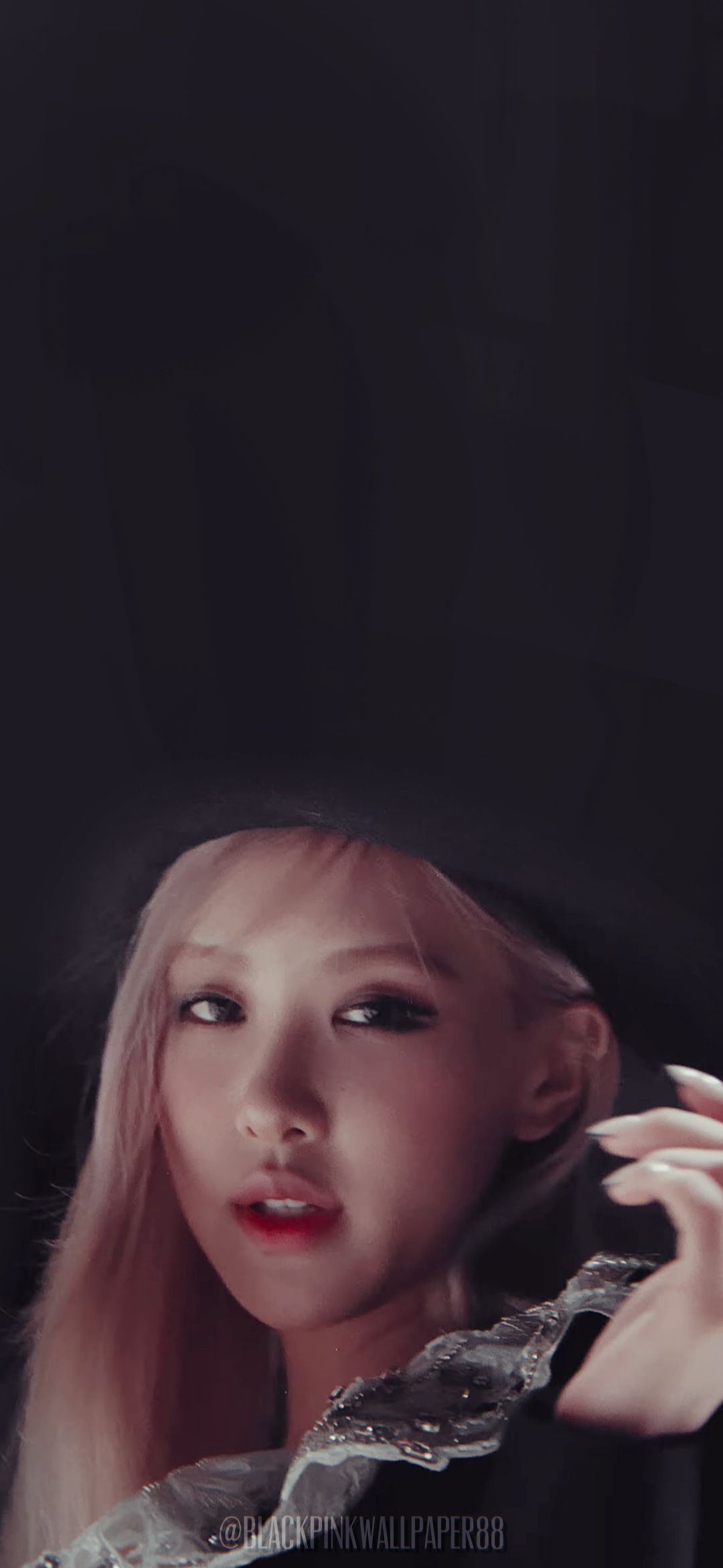 Rose wallpaper, Blackpink rose, Rose