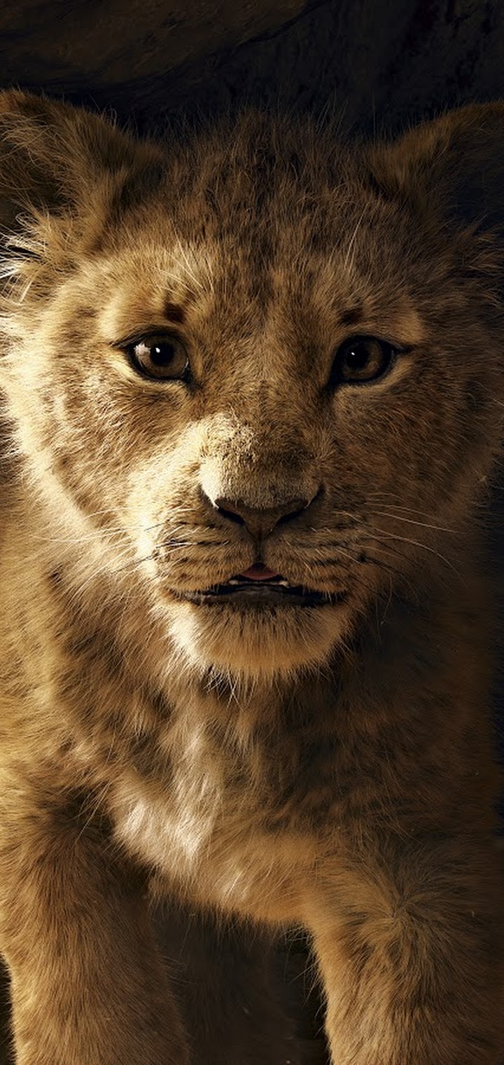 The Lion King 2019 Simba 8K Wallpaper