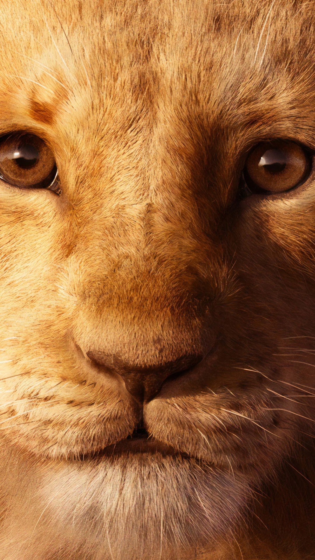 The Lion King 2019 Simba 4K Wallpaper