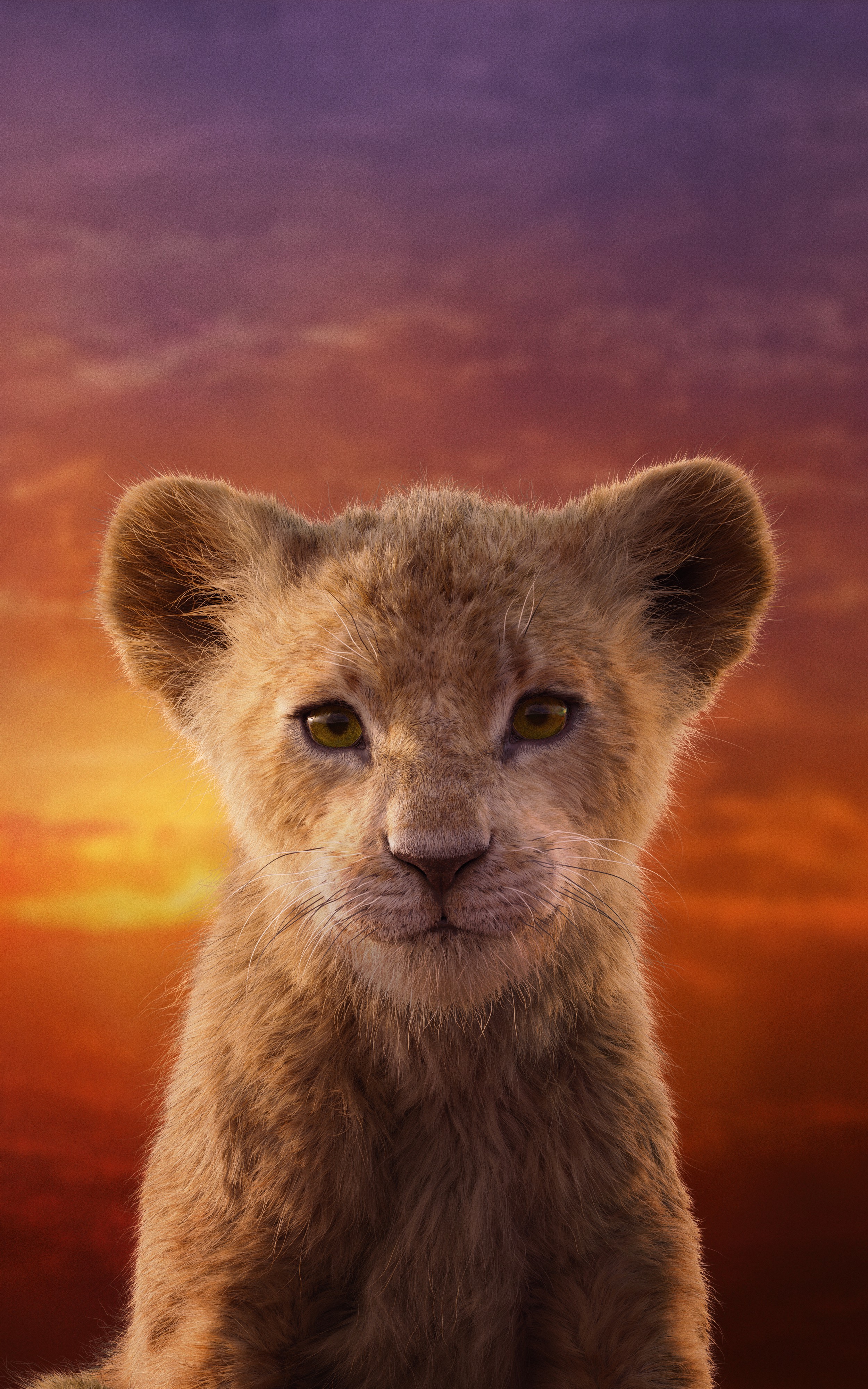 Wallpaper Nala Lion King Live Action