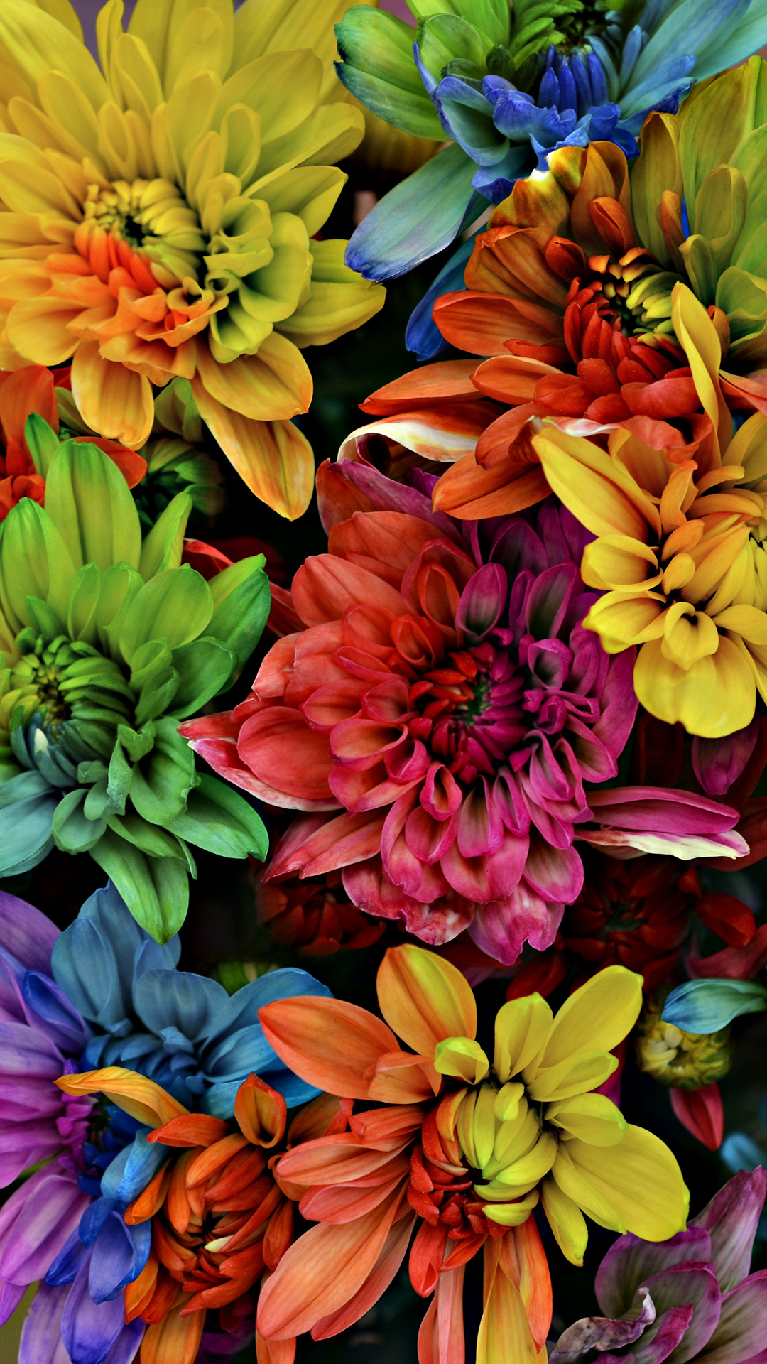 Garden Flowers iPhone Wallpaper HD 4K