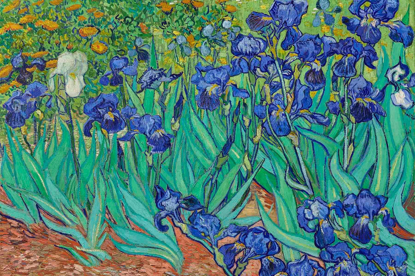 Van Gogh Irises Wall Mural. Vintage