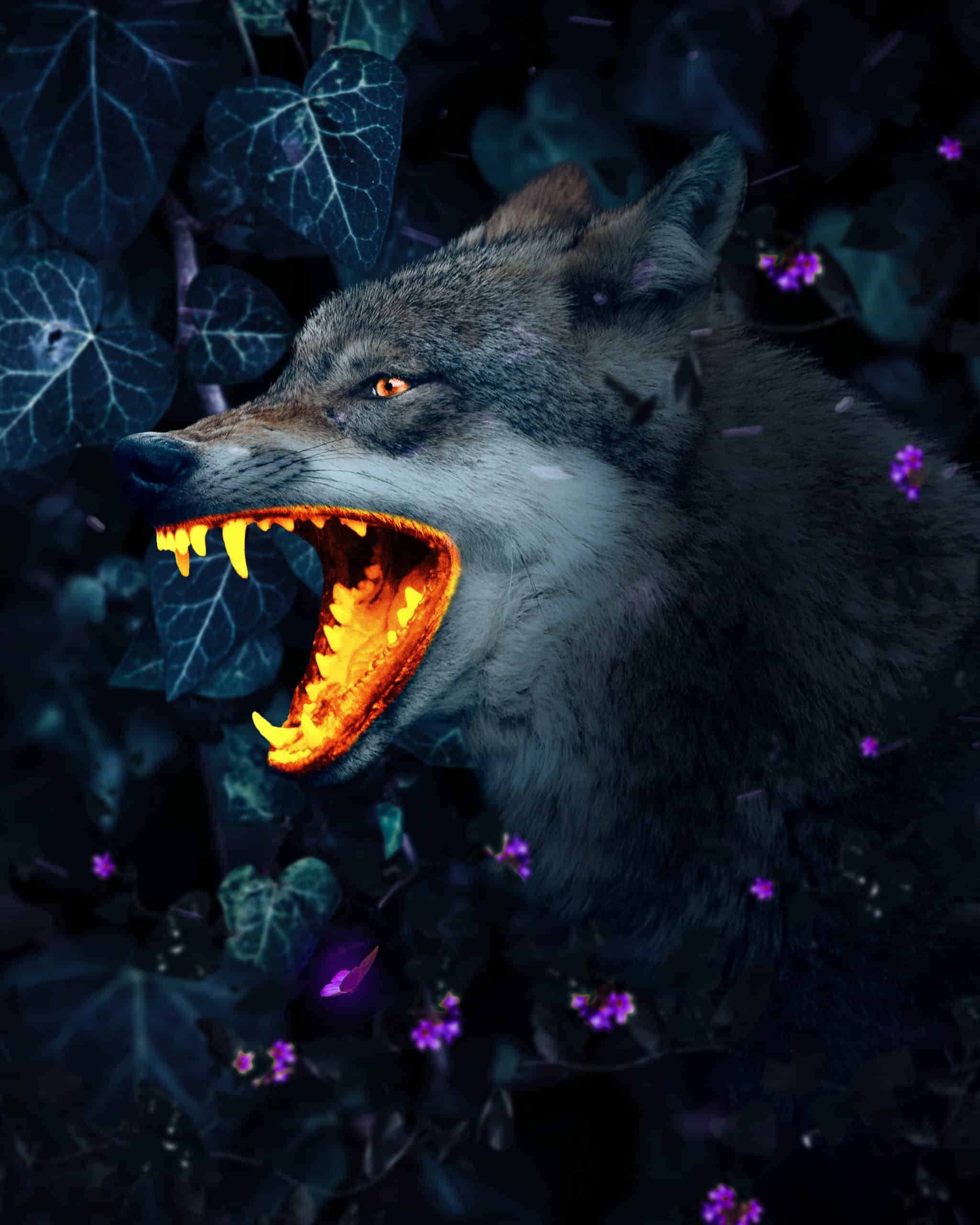Glowing Mouth Wolf Photohop Tutorial