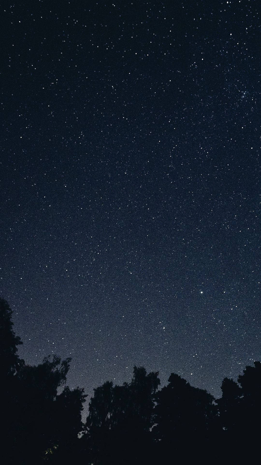 night sky. Wallpaper