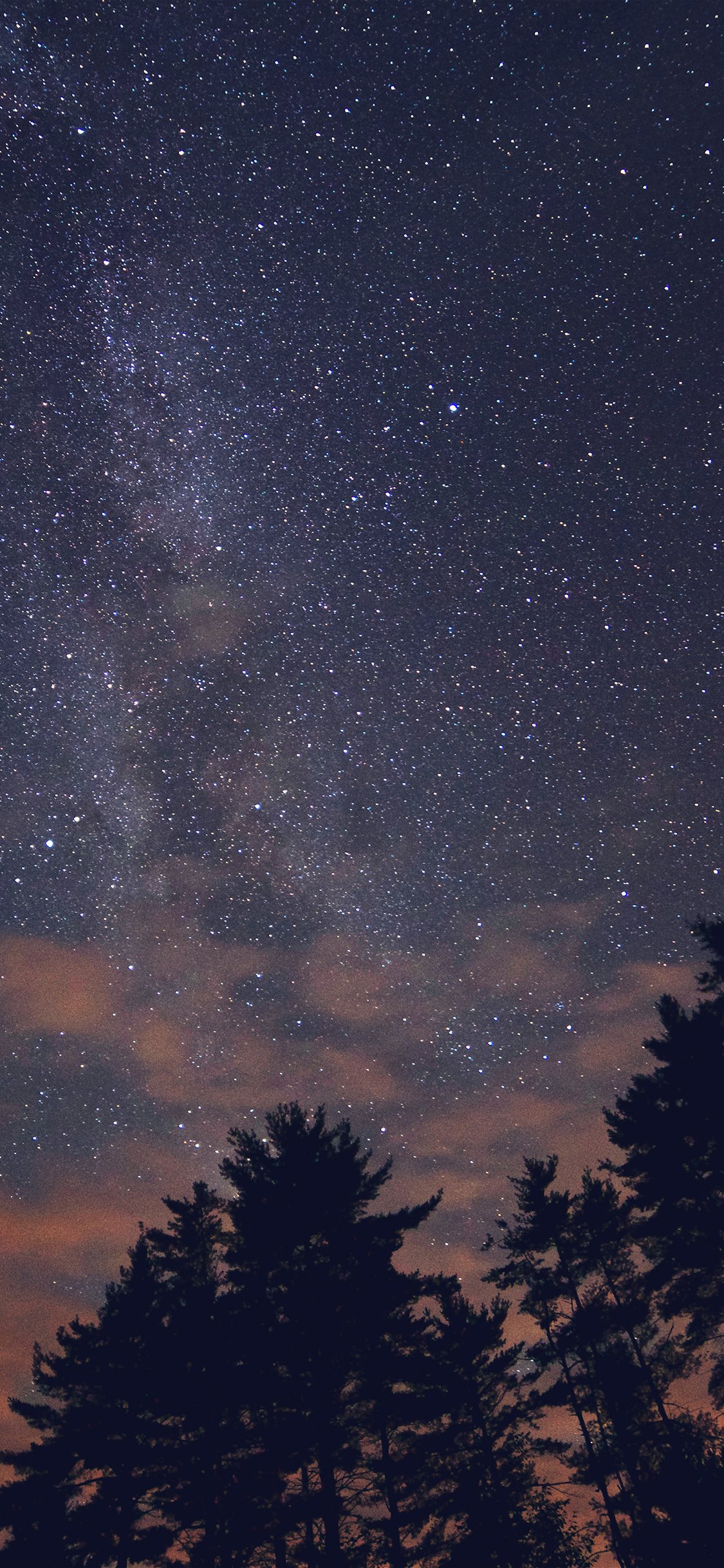 Night Sky Stars Milkyway Wood