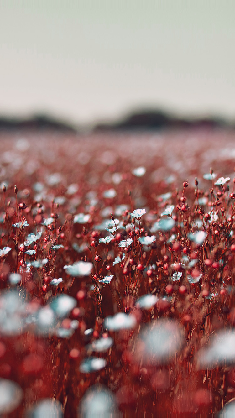 Red Spring Pattern Background Spring Red Wallpapers - Wallpaper Cave