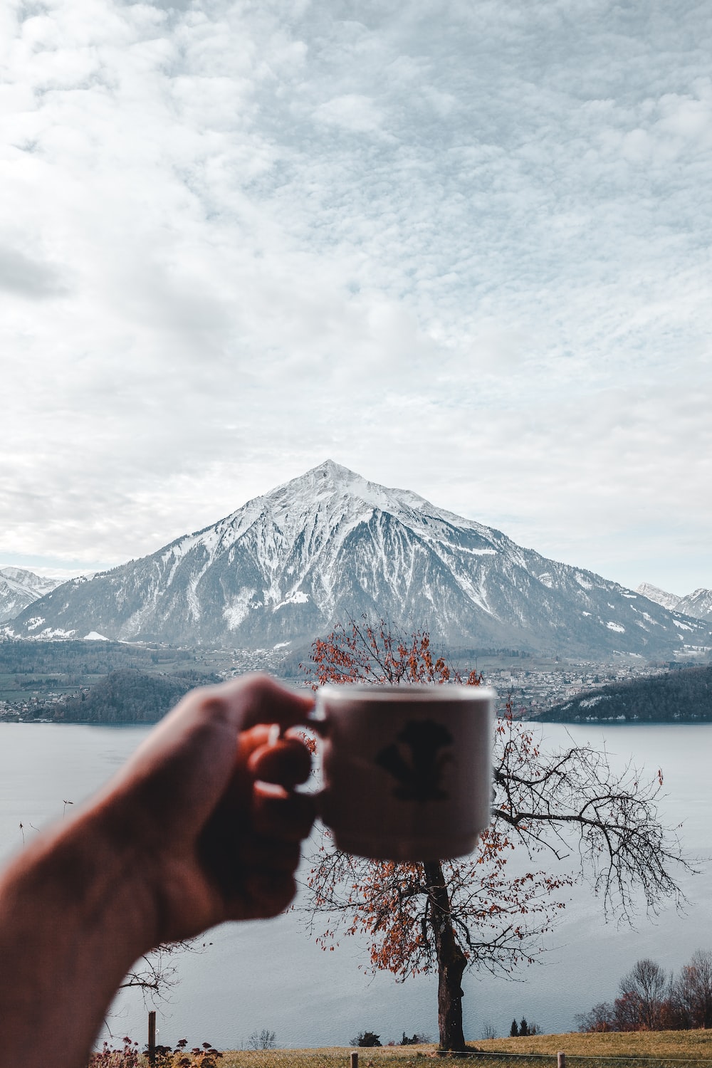 Winter Tea Picture. Download Free