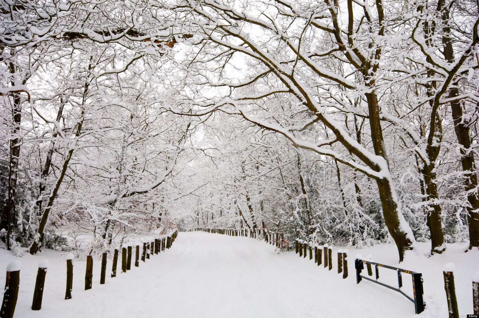 Winter Season Snow Road
