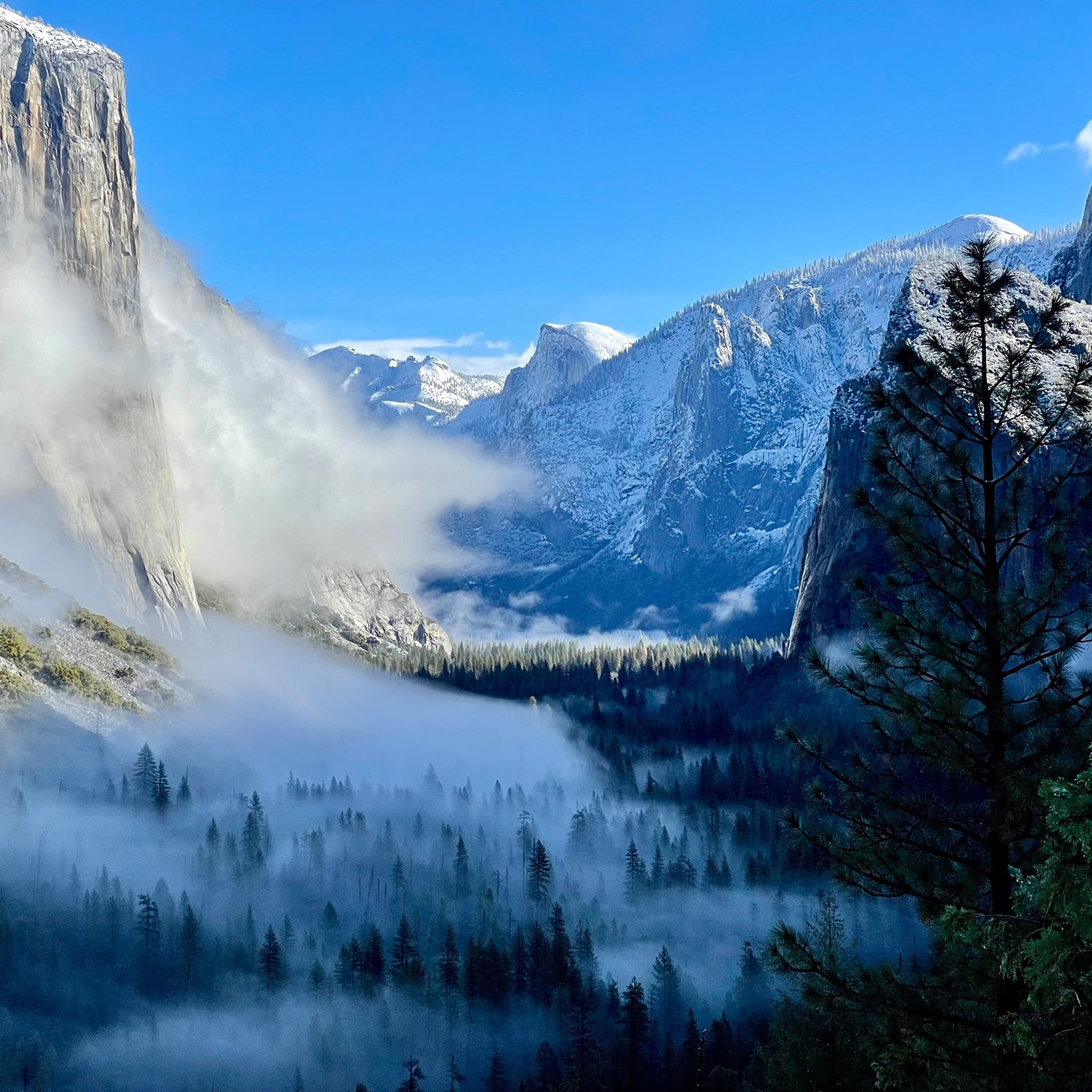 Yosemite shines, while the waterfalls
