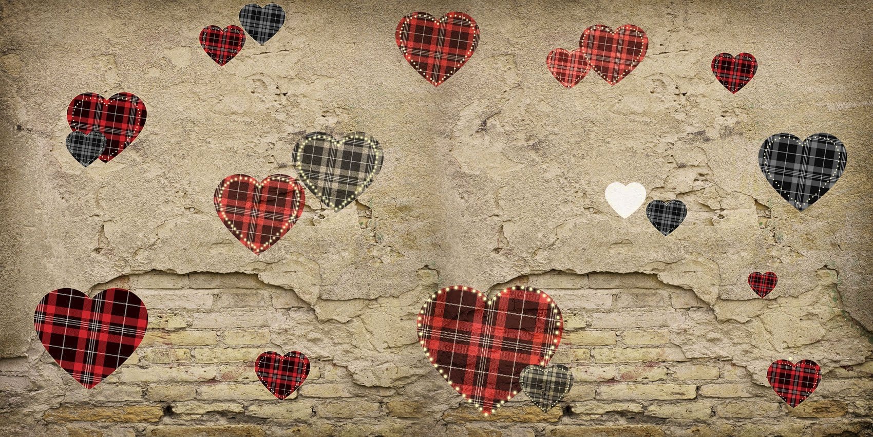 Heart Damaged Wall Backdrop