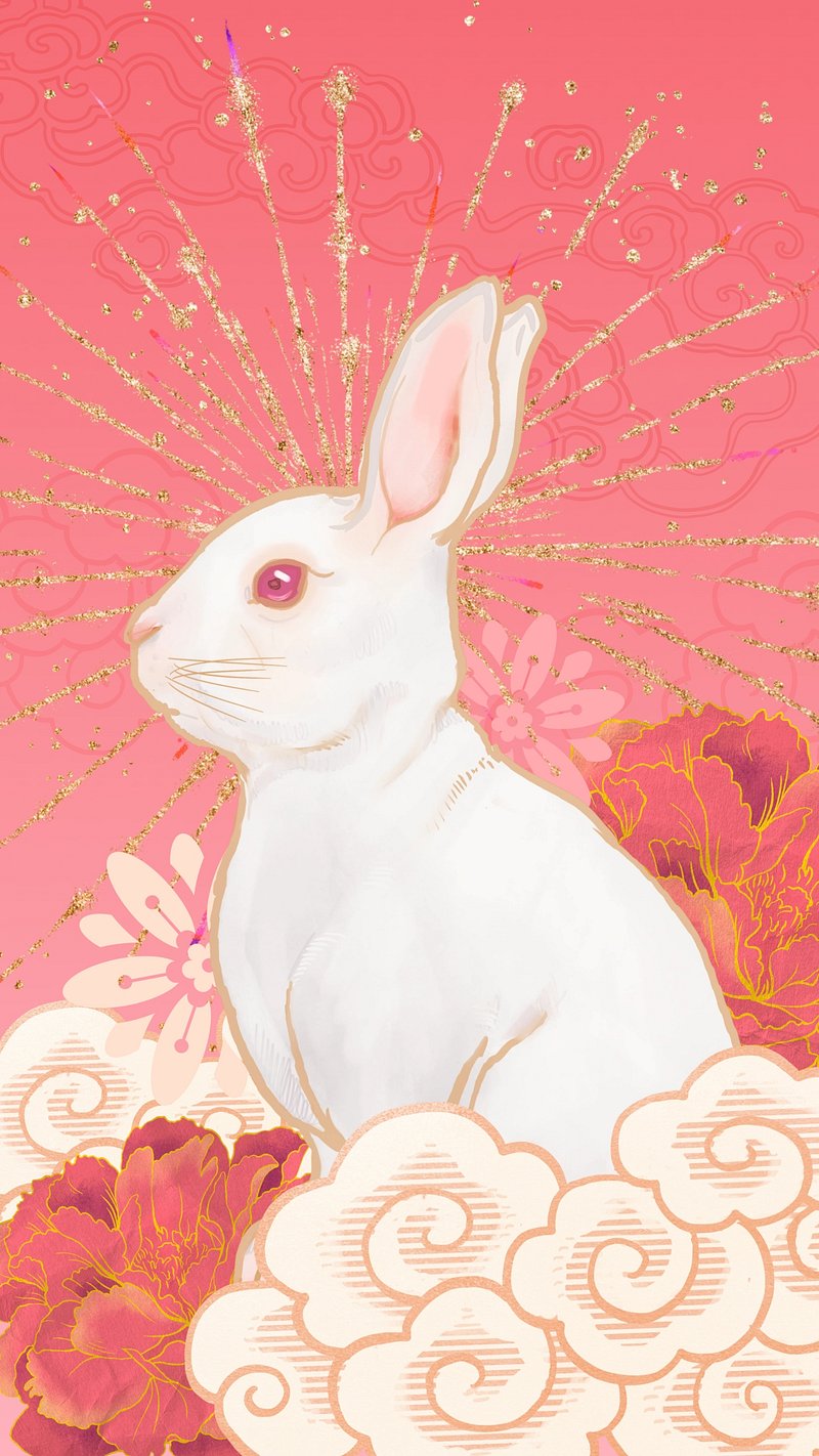 Chinese Zodiac Rabbit Image. Free