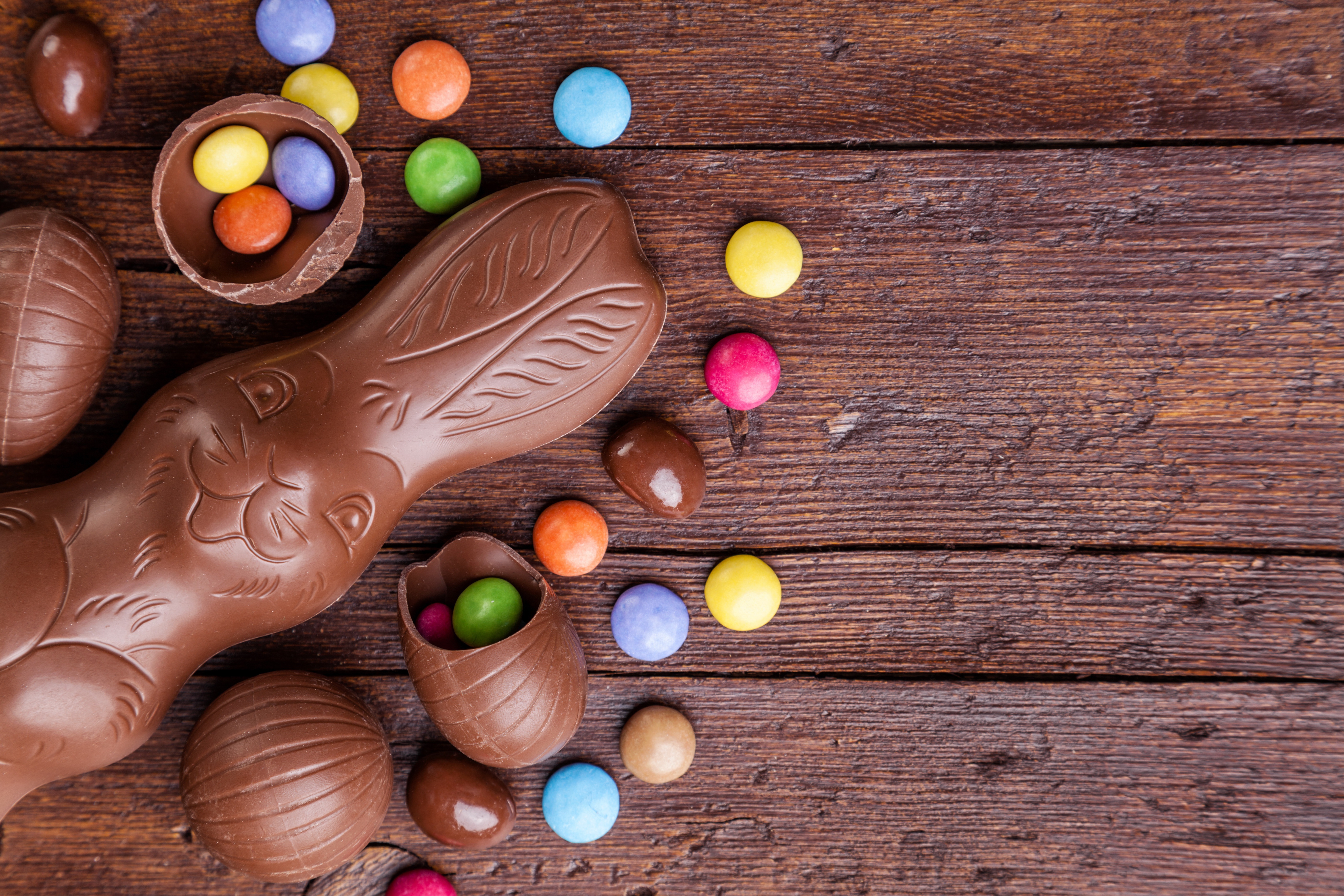Chocolate Easter Bunny
