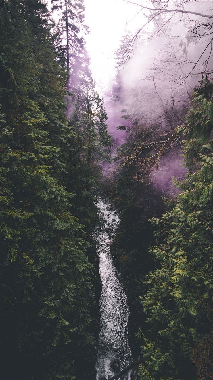 Vancouver Canada iPhone 8 Wallpaper