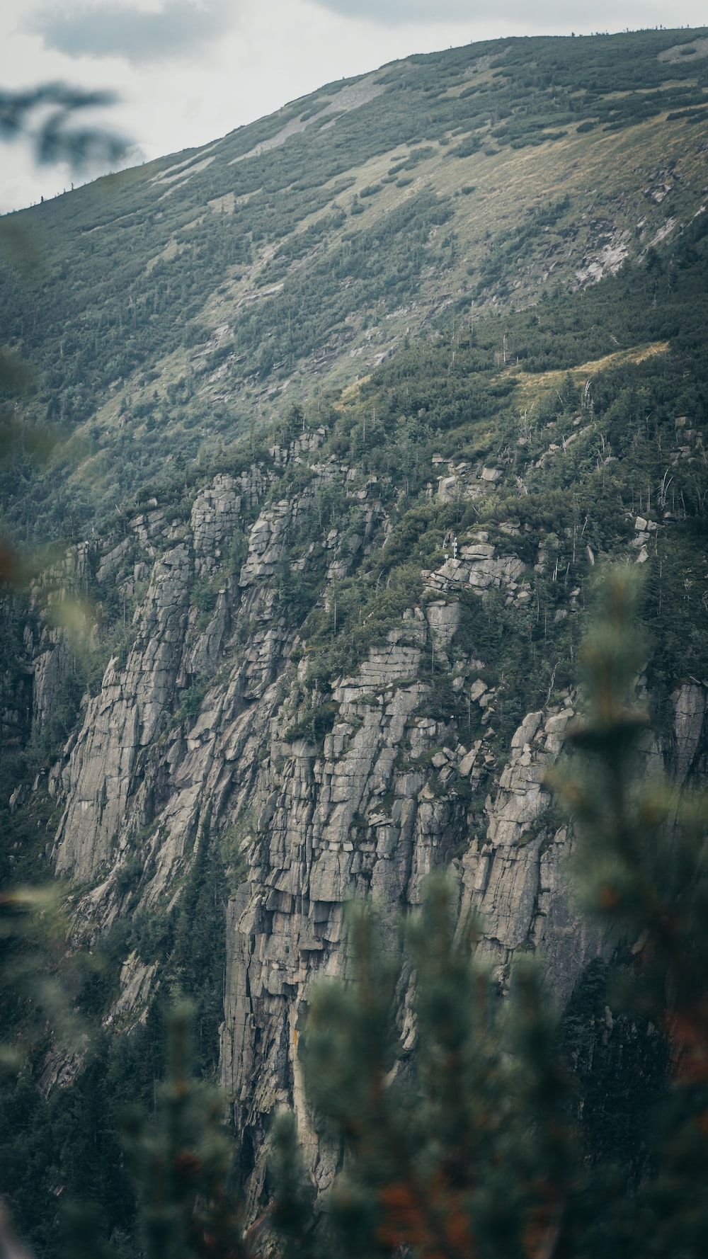 A view of a mountain with trees on the side of it photo