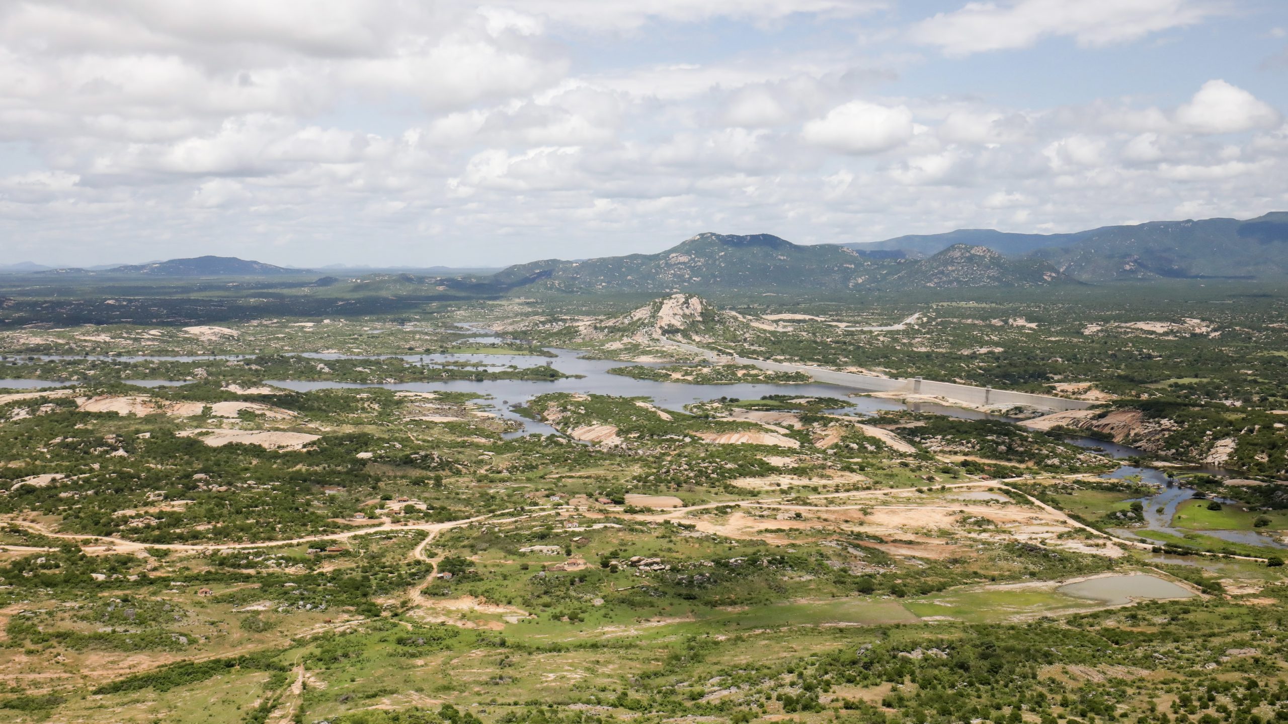 A mission to protect thorn forests in the Rio Grande Valley Yale Climate Connections