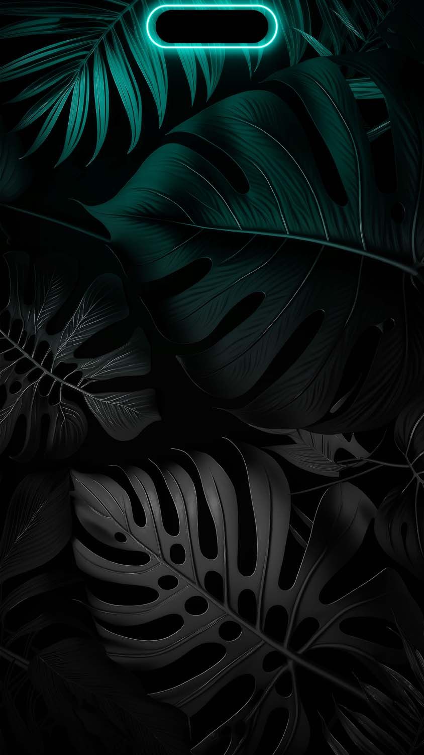 Sunset Palm Beach IPhone Wallpaper HD Wallpaper, iPhone Wallpaper. iPhone dynamic wallpaper, iPhone wallpaper, iPhone wallpaper HD nature