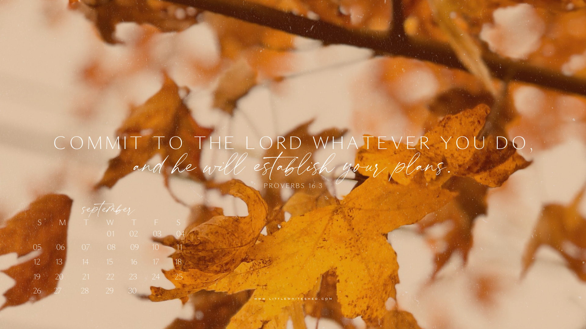 Free Download 2021 Desktop Wallpaper