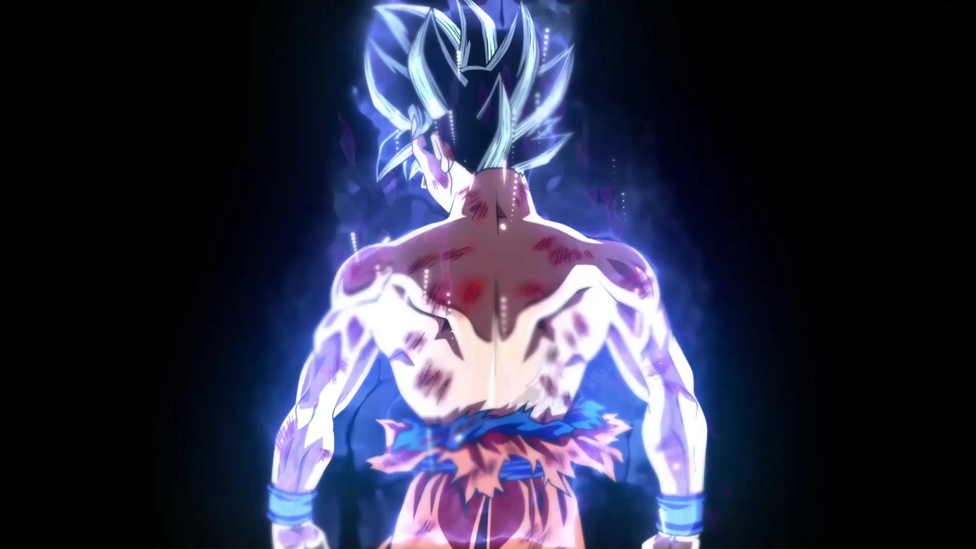 Goku Ultra Instinct Dragon Ball Super