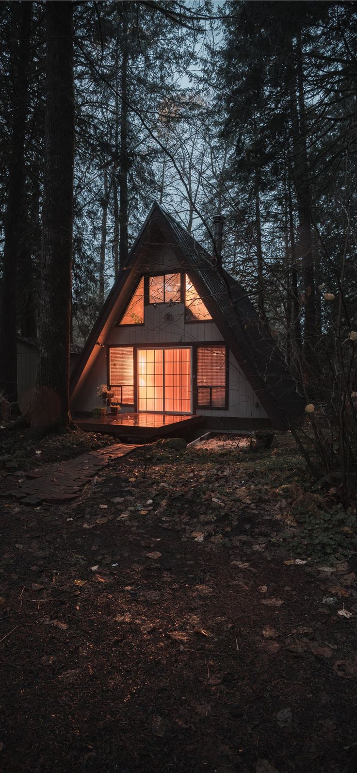 Mount Hood area iPhone 11 Wallpaper