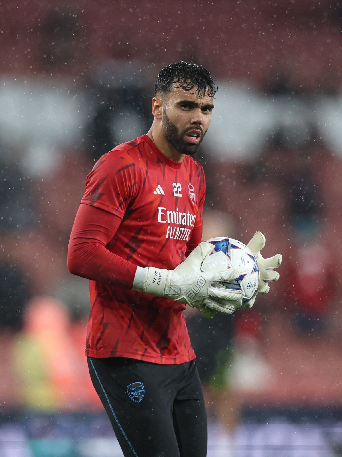 Premier League: Aaron Ramsdale needs to