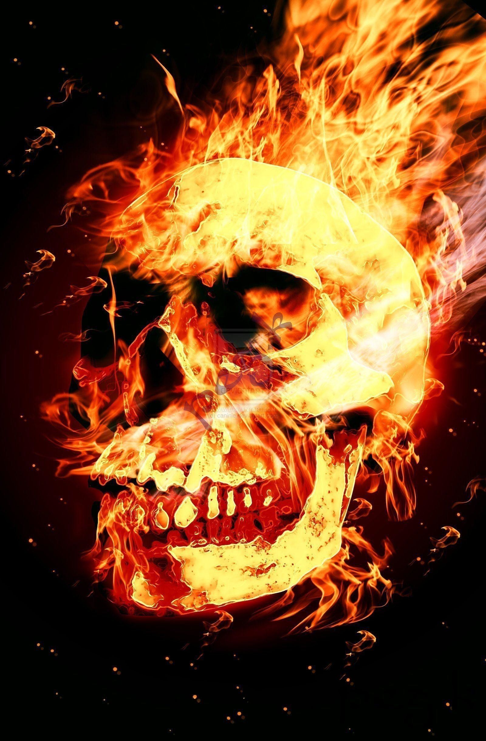 Skull wallpaper, Skull fire, Skull art
