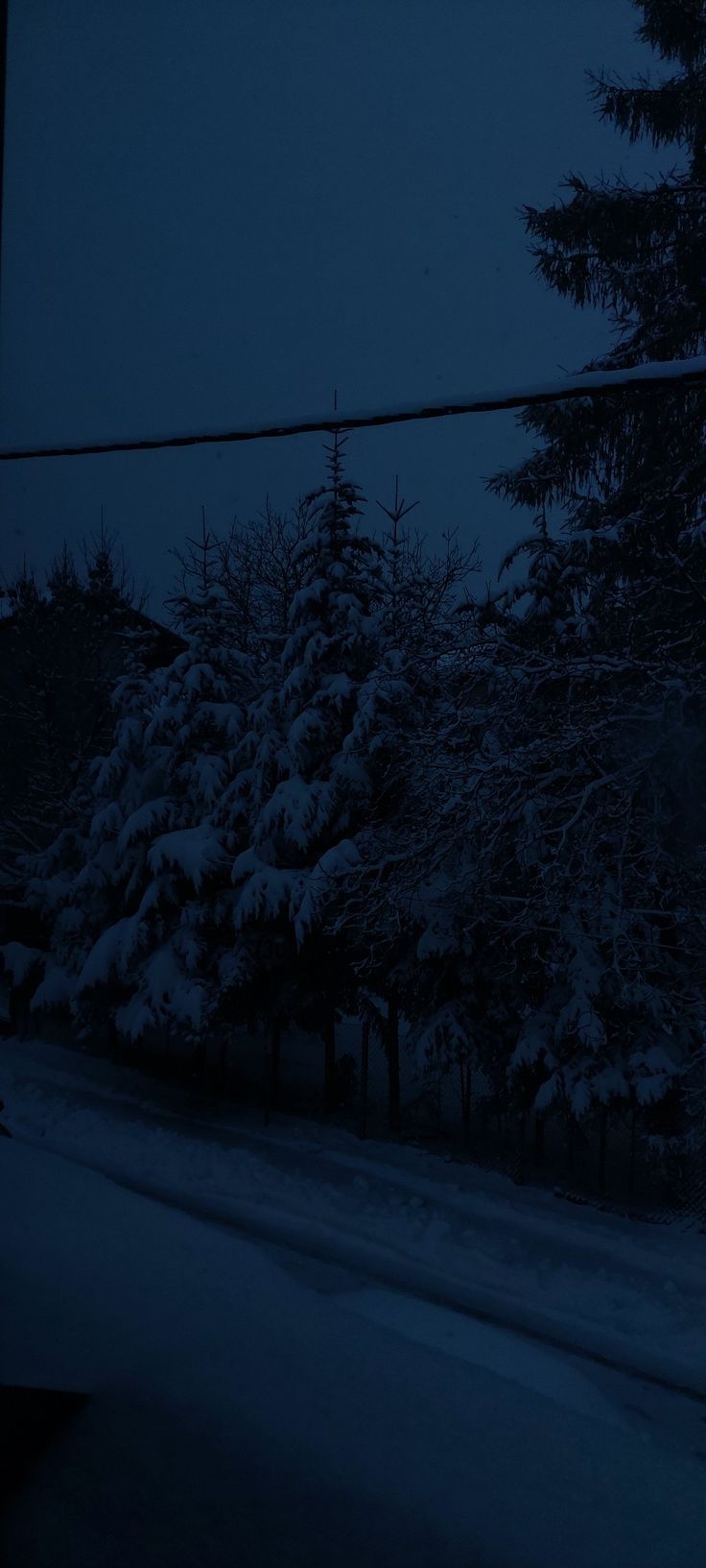 Blue Hour Snowfall Aesthetic