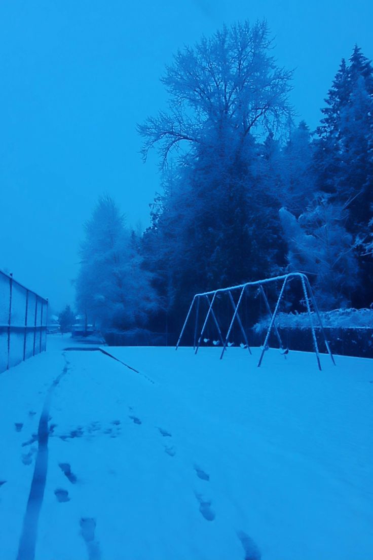 Winter *•°•. Dark naturalism, Winter photography, Dark grunge