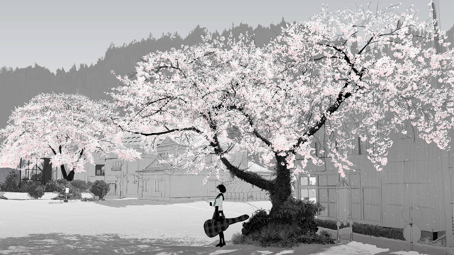 Download Animation Black And White Anime Girl Cherry Blossom Tree Wallpaper
