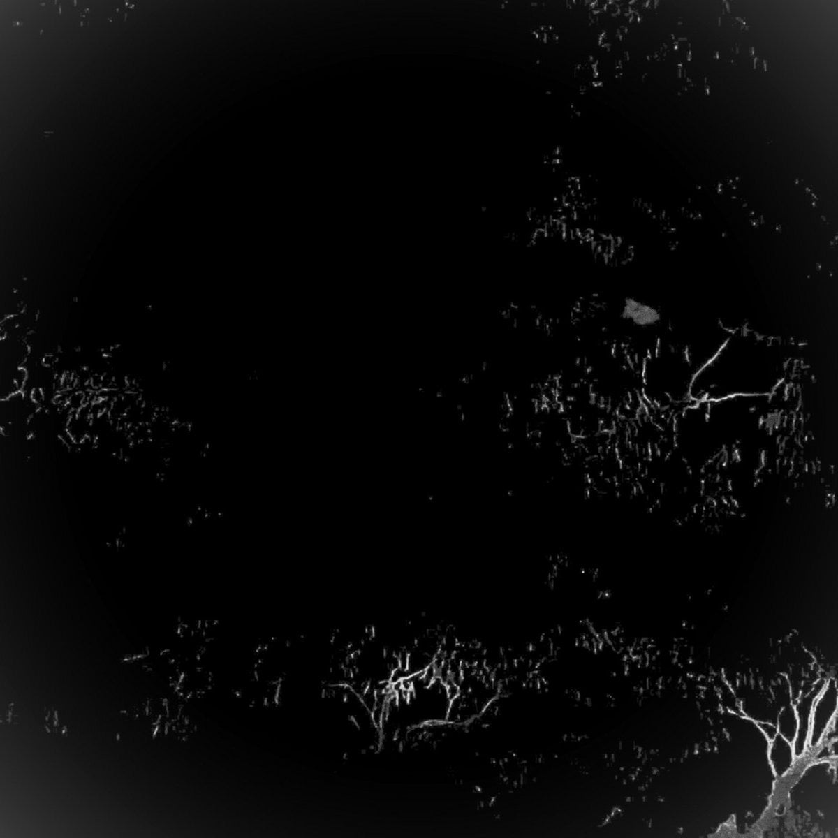 download codes for the dark ambient winter project, wind blow EP (Deluxe Edition)