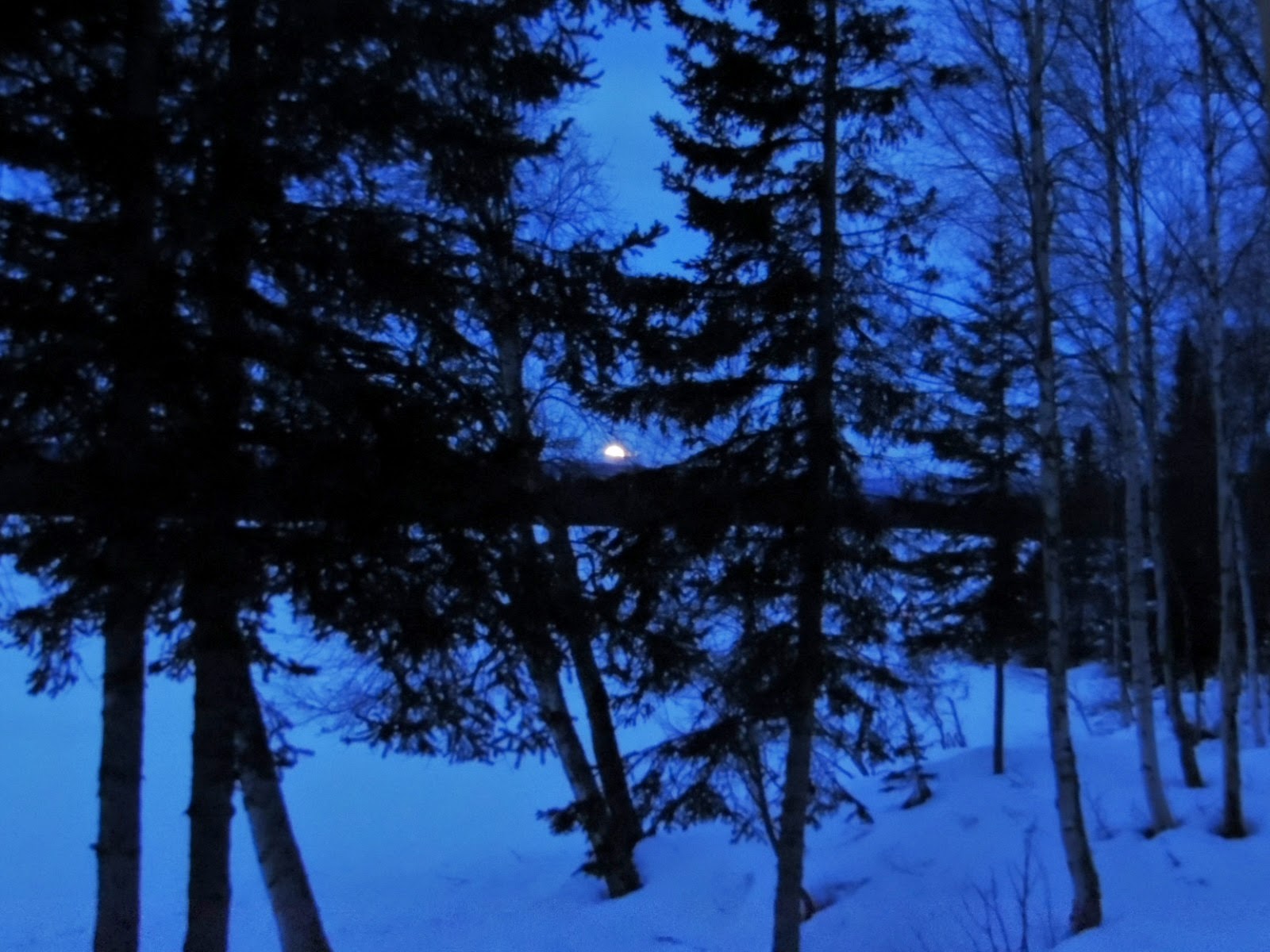 Alaska Bush Life, Off Road, Off Grid: Living Off Grid With Dark Alaska Nights