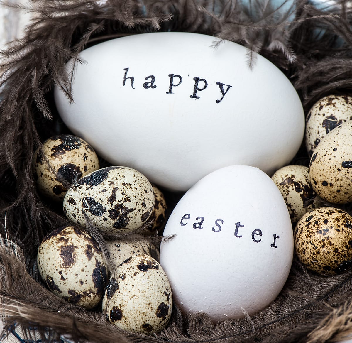 Easter Eggs On Rustic Wood Surfaceñoz Calero Calderon