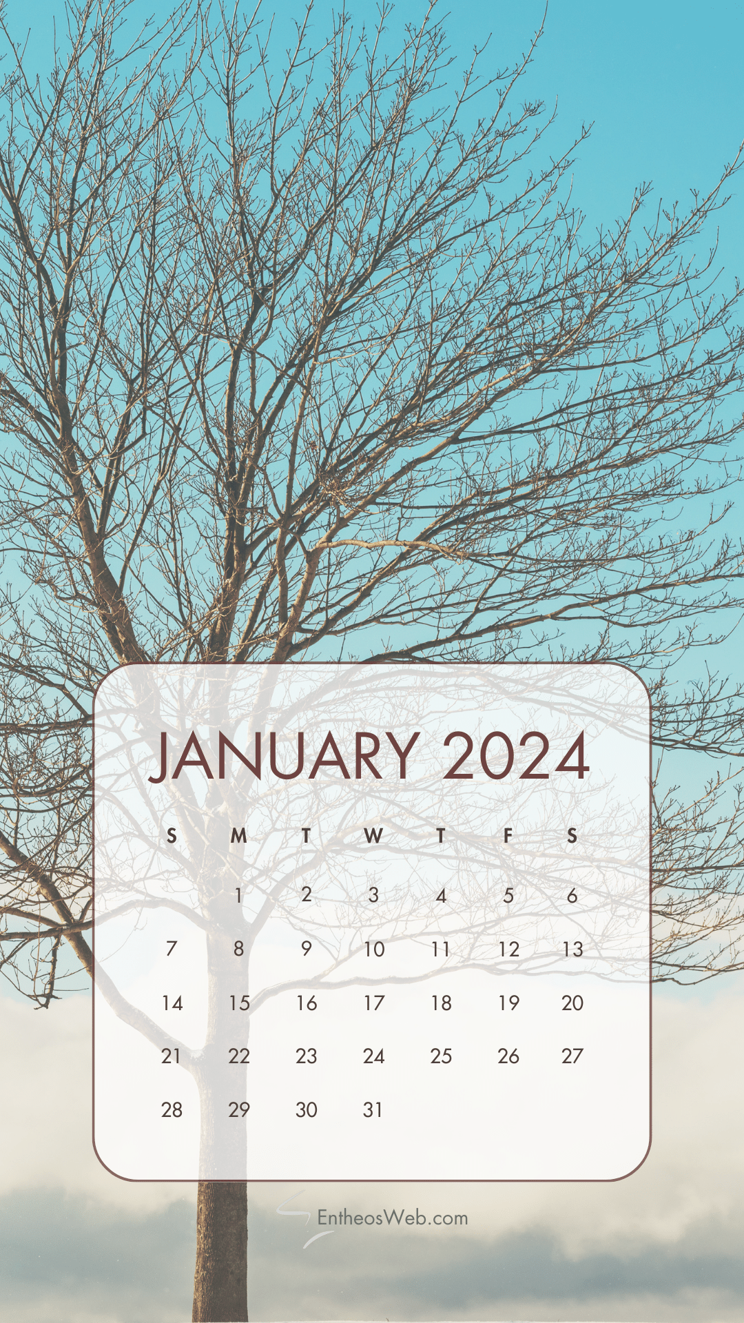 January 2024 Phone Wallpaper Calendars